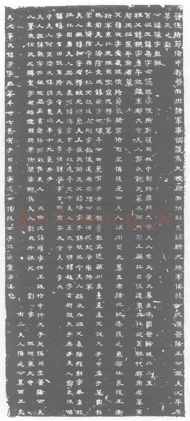 西晋华芳墓誌(晋使持节侍中都督幽州诸军事领护乌丸校尉幽州刺史骠骑大将军博陵公太原晋阳王公故夫人平原华氏之铭。)