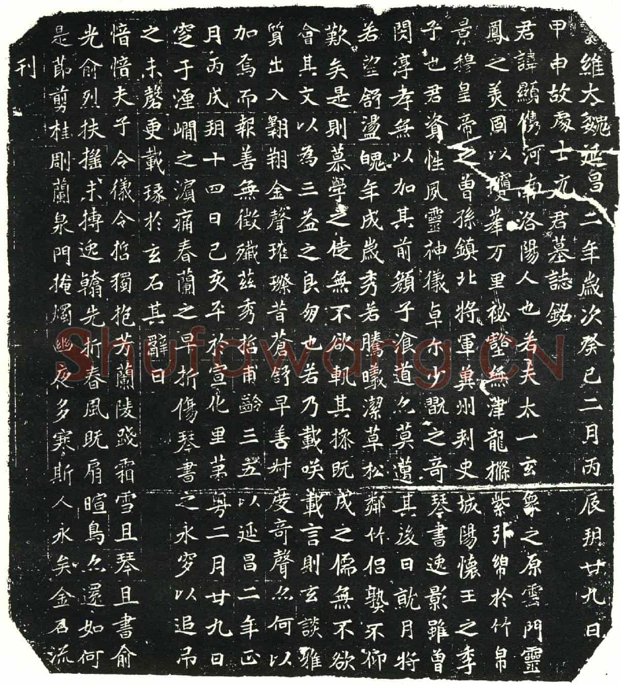 北朝元显儁墓誌(维大魏延昌二年岁次癸巳二月丙辰朔廿九日甲申故处士元君墓誌铭)