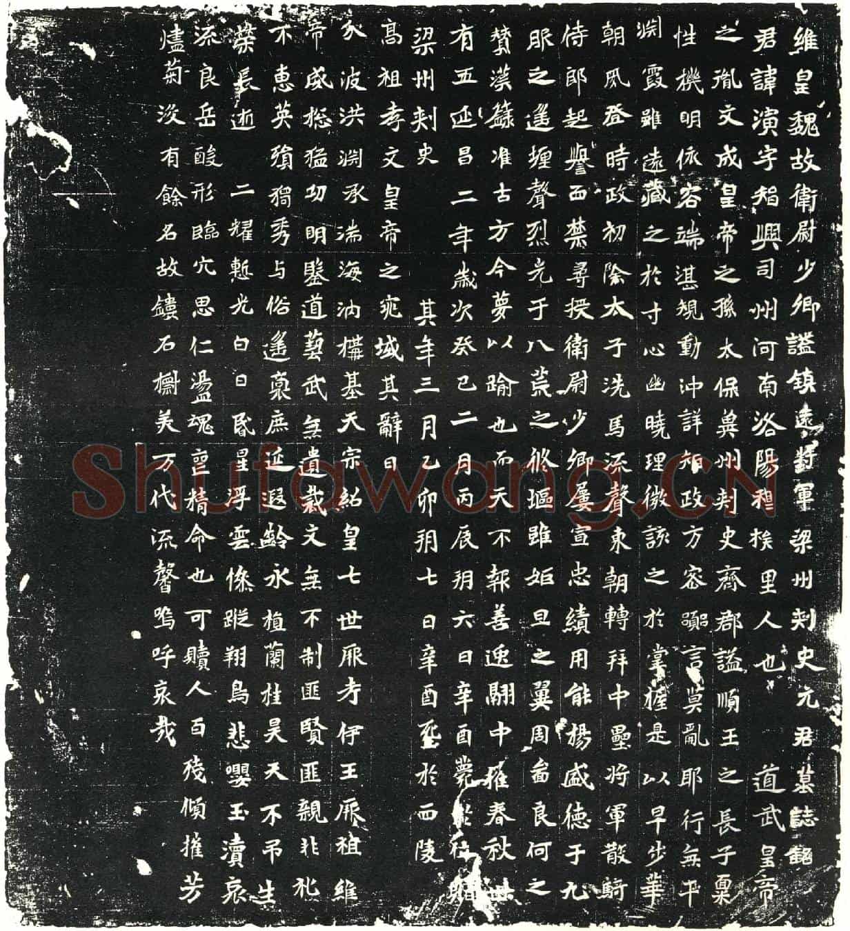 北朝元演墓誌(维皇魏故卫尉少卿謚镇远将军梁州刺史元君墓誌铭)