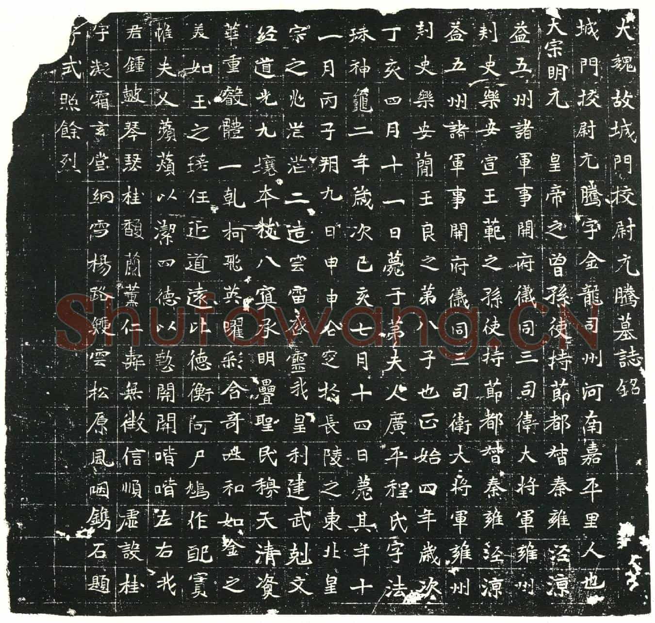 北朝元腾；程法珠墓誌(大魏故城门校尉元腾墓誌铭)