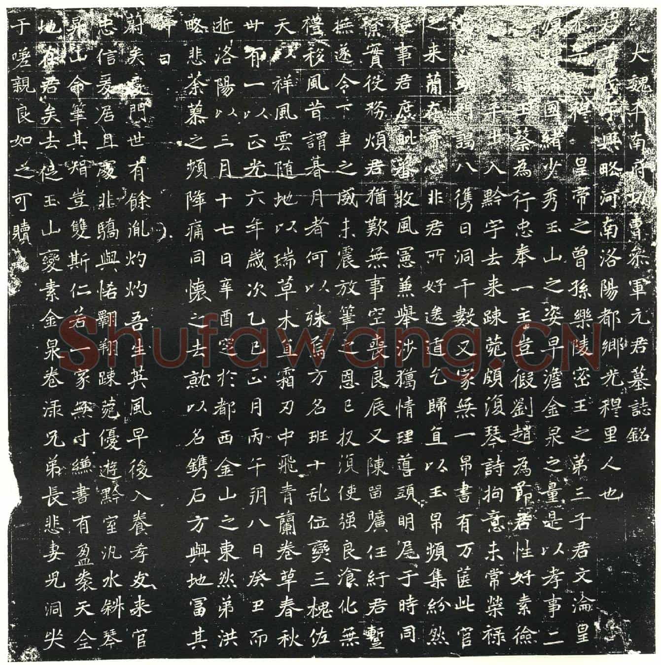 北朝元茂墓誌(大魏平南府功曹参军元君墓誌铭)