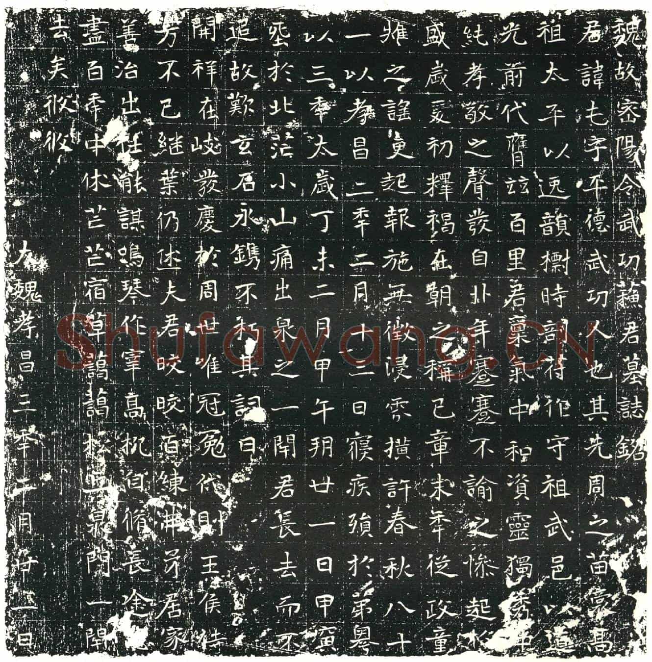 北朝苏屯墓誌(魏故密阳令武功苏君墓誌铭)