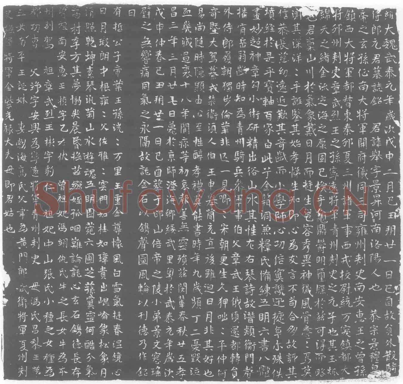 北朝元举墓誌(维大魏武泰元年岁次戊申二月己丑朔廿一日己酉故员外散骑侍郎元君墓誌铭)