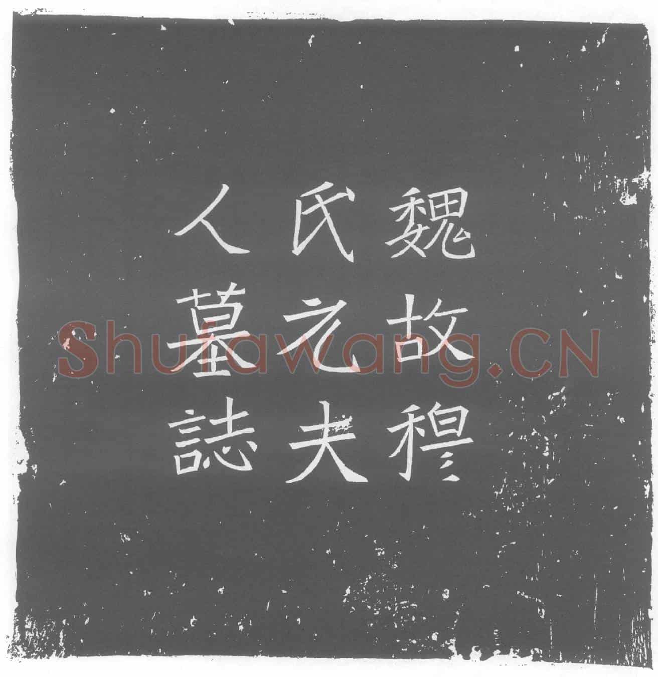 北朝元洛神墓誌(魏故侍中司徒公太子太傅宜都宰王穆君之曾孙故冠军将军散骑常侍驸马都尉恭侯孙故司徒左长史桑乾太守之元子伏波将军尚书北主客郎中大司农丞之命妇元氏墓誌铭)