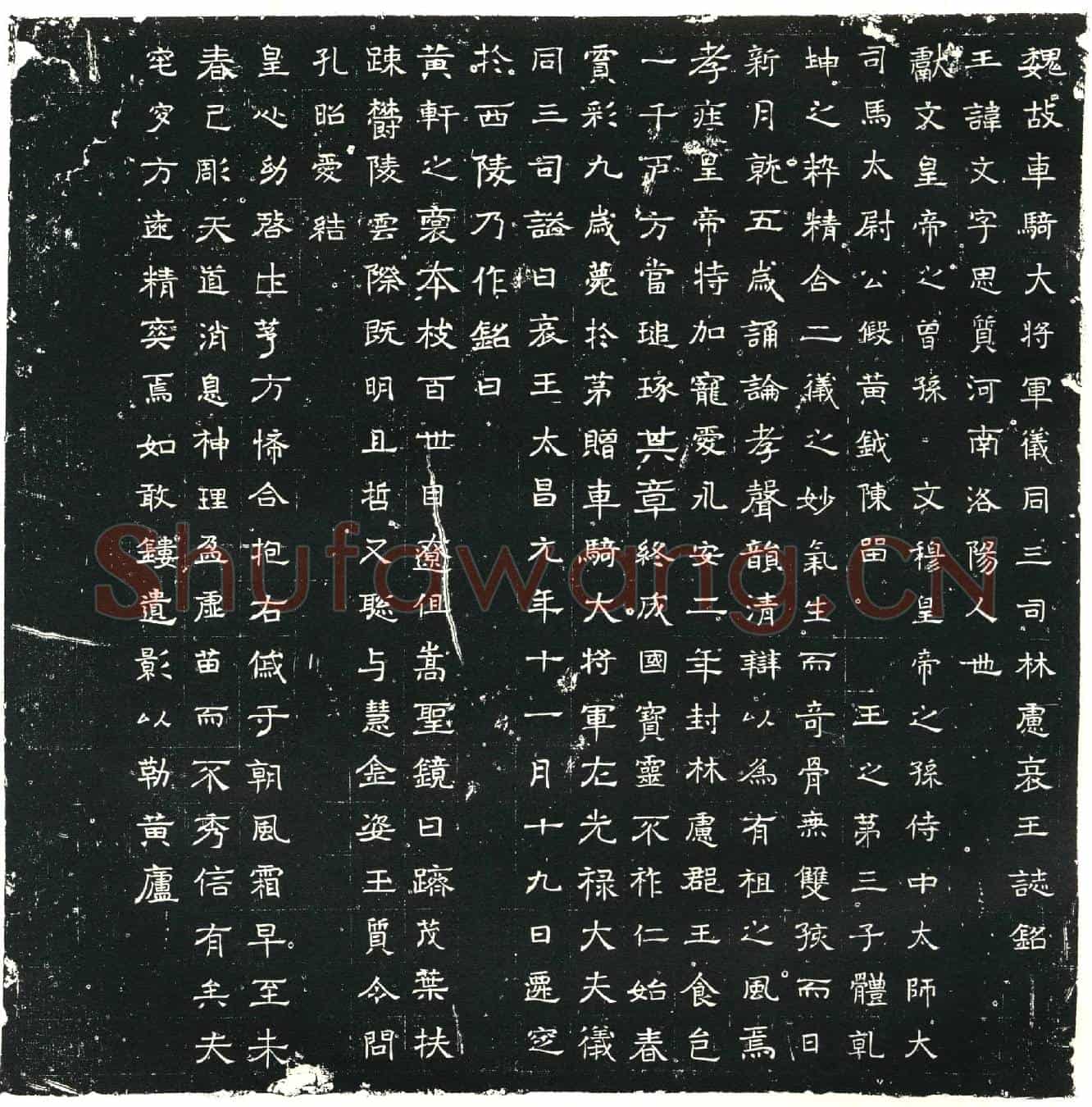 北朝元文墓誌(魏故车骑大将军仪同三司林虑哀王誌铭)