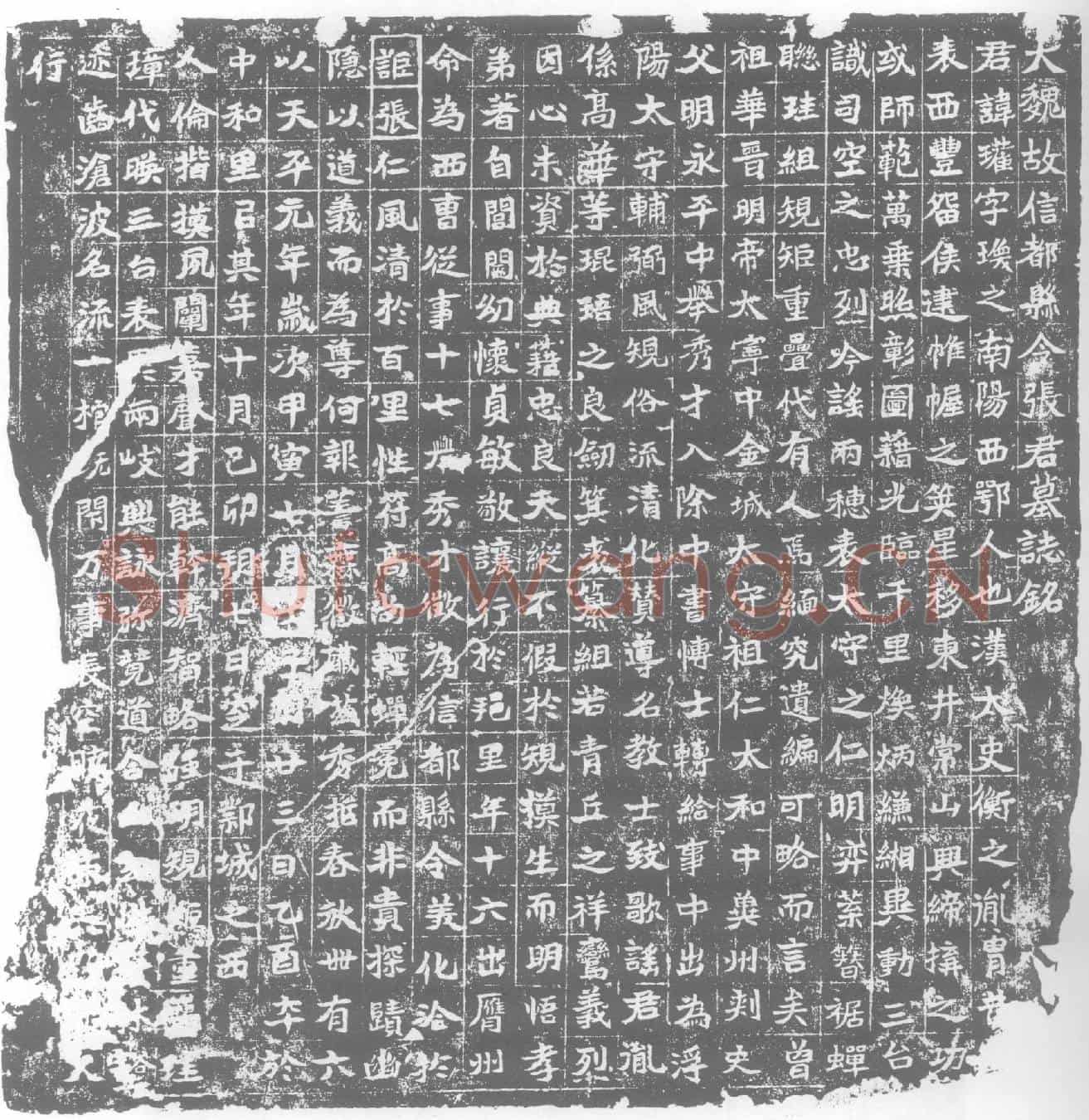 北朝张瓘墓誌(大魏故信都县令张君墓誌铭)