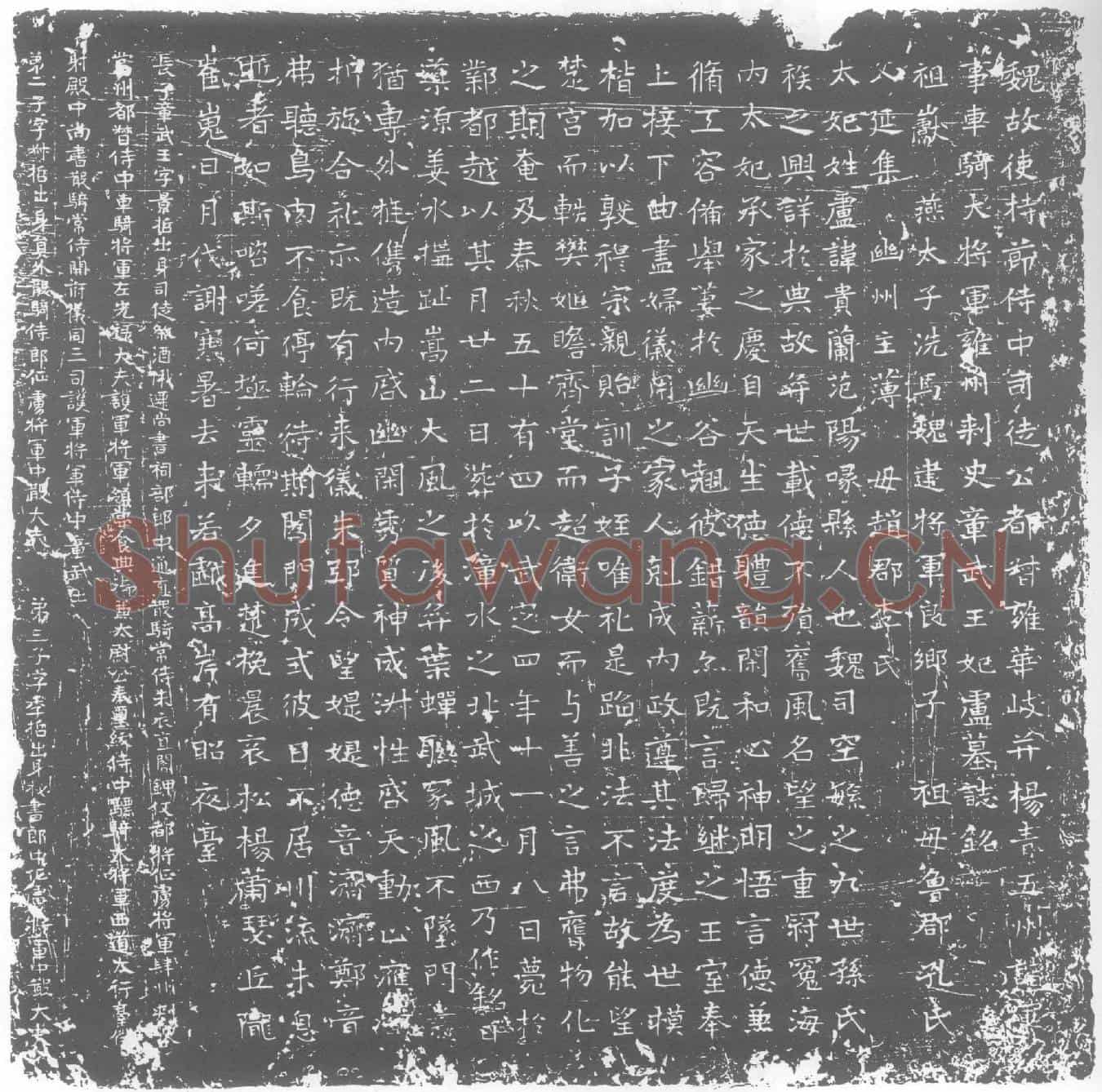 北朝卢贵兰墓誌(魏故使持节侍中司徒公都督雍华岐并扬青五州诸军事车骑大将军雍州刺史章武王妃卢墓誌铭)