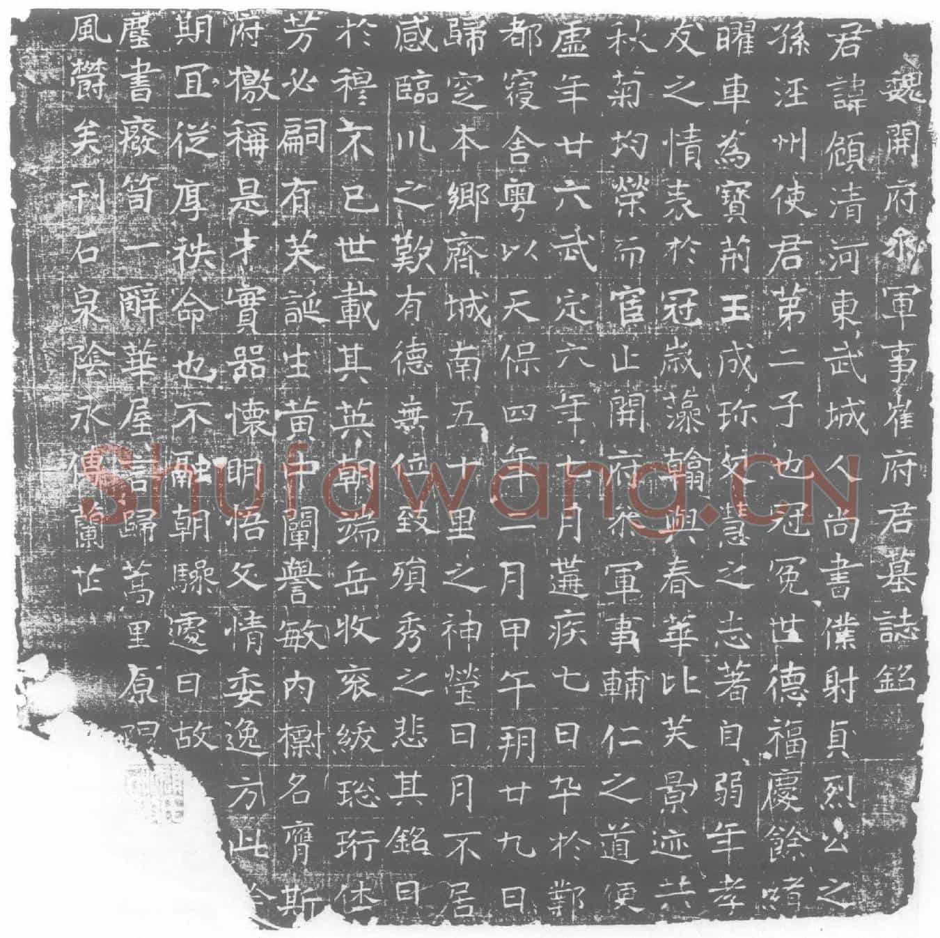 北朝崔頠墓誌(魏开府参军事崔府君墓誌铭)