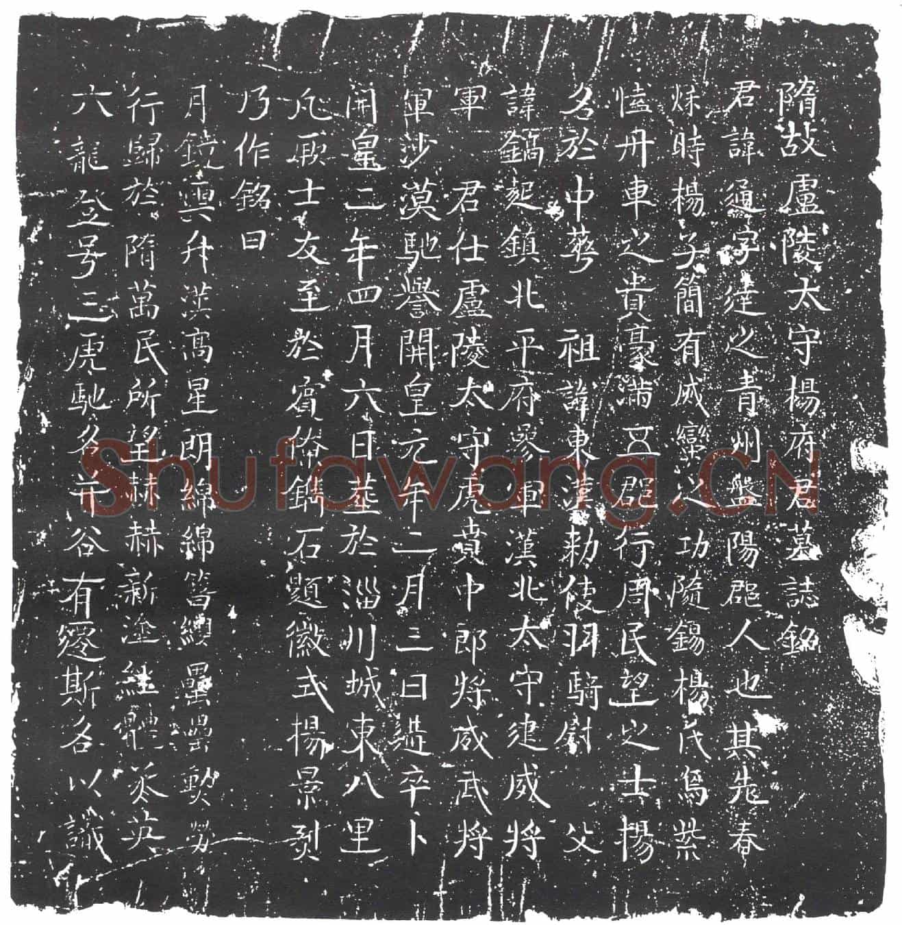 隋杨通墓誌(隋故庐陵太守杨府君墓誌铭)