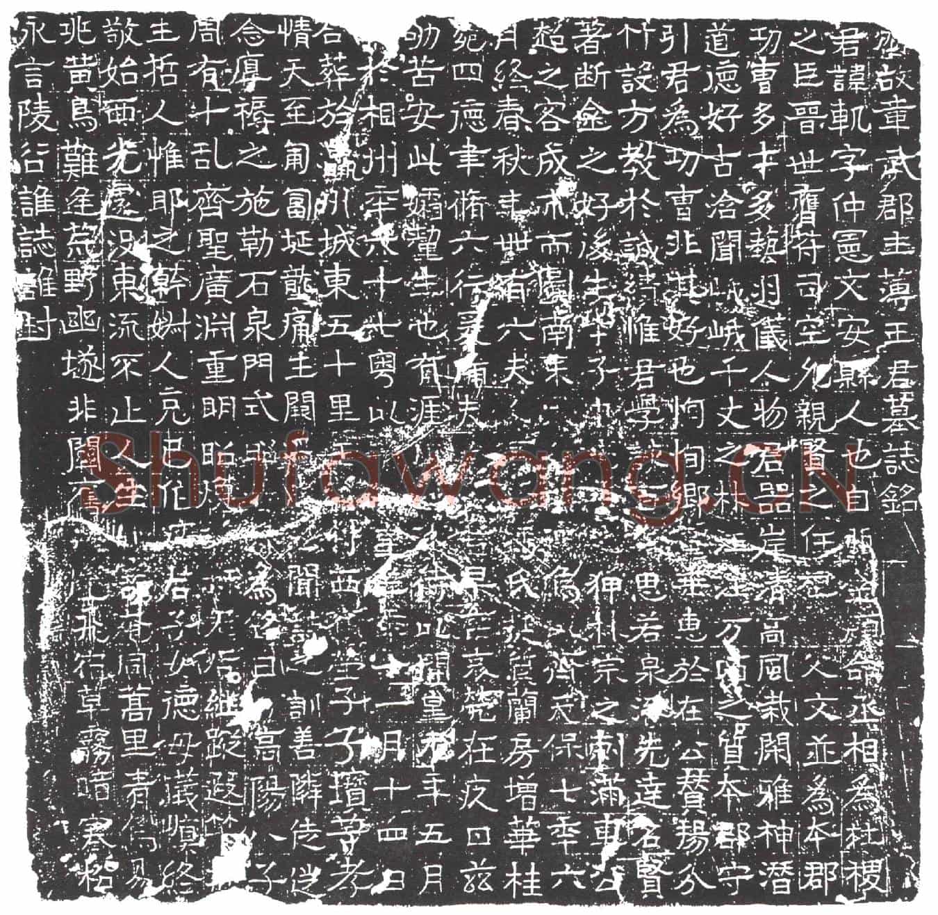 隋王轨；王轨妻冯氏墓誌(齐故章武郡主簿王君墓誌铭)