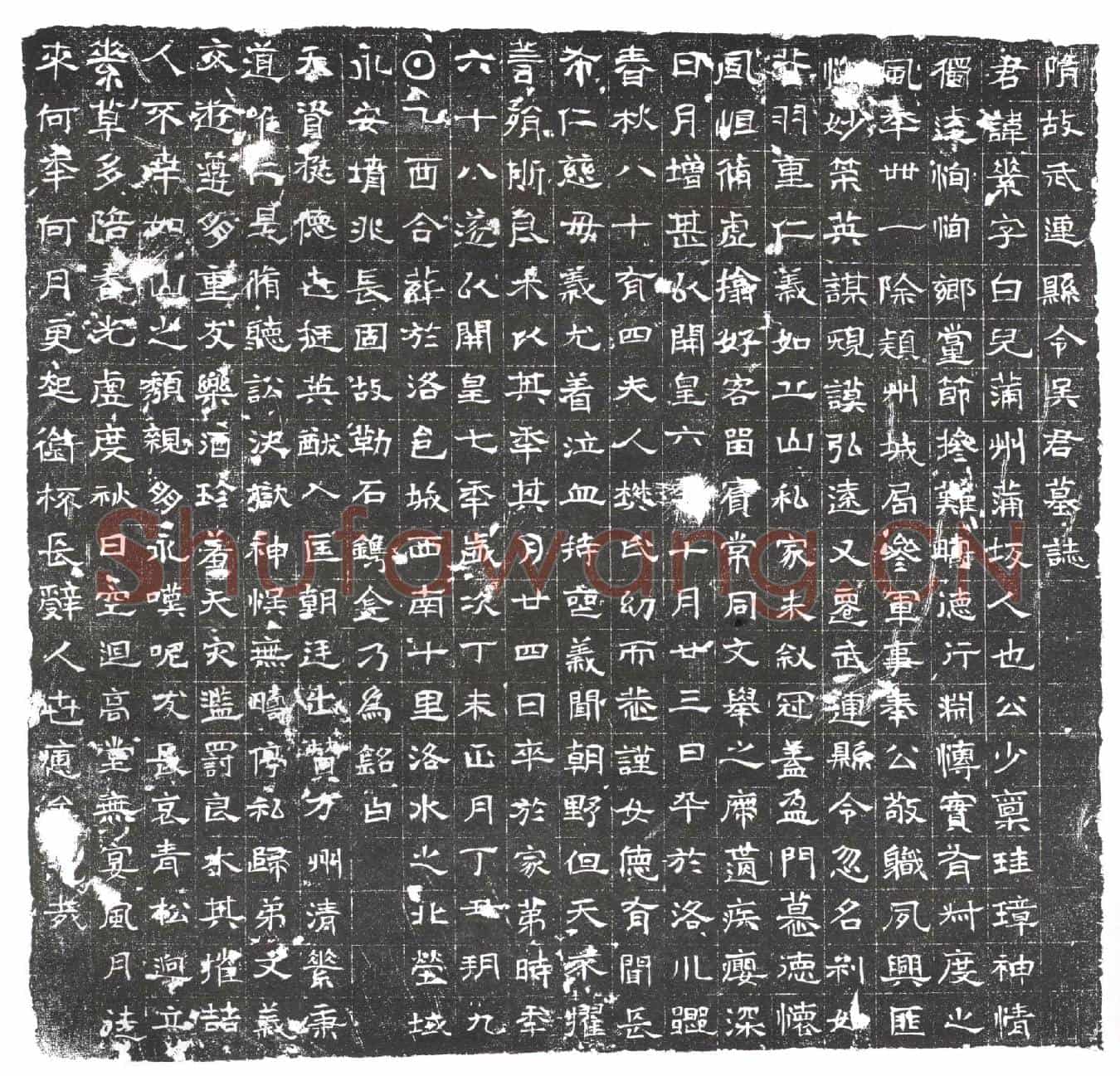 隋吴素；吴素妻樊氏墓誌(隋故武连县令吴君墓誌)
