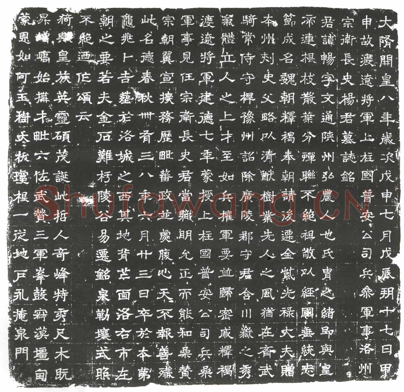 隋杨畅墓誌(大隋开皇八年岁次戊申七月戊辰朔十七日甲申故渡辽将军上柱国普安公司兵参军事洛州宗卫长史杨君墓誌铭)