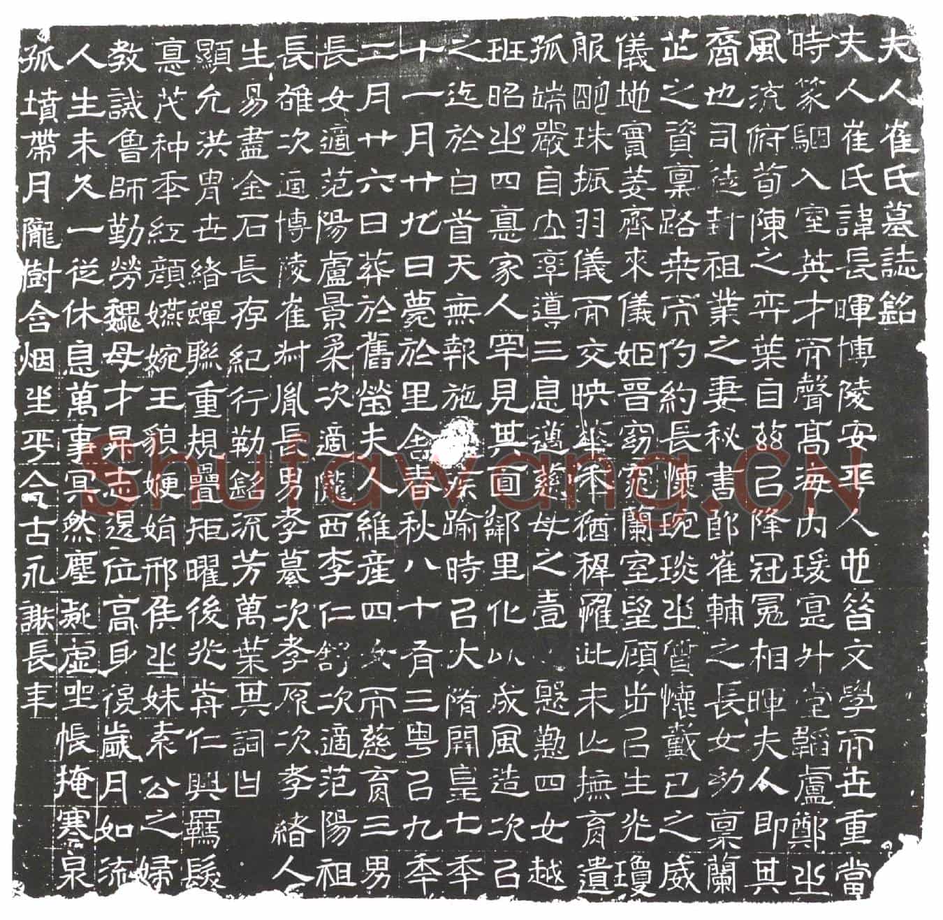 隋崔长晖墓誌(夫人崔氏墓誌铭)