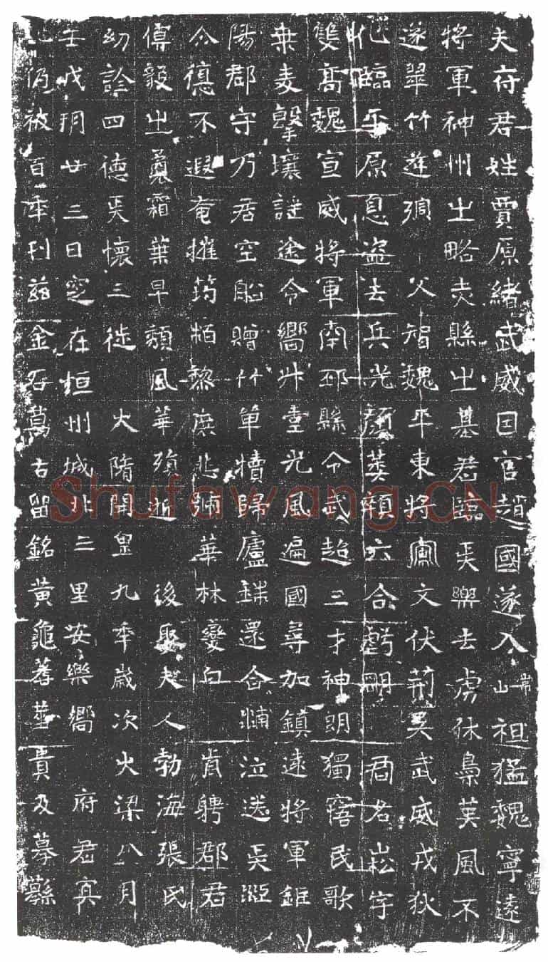 隋贾崧墓誌