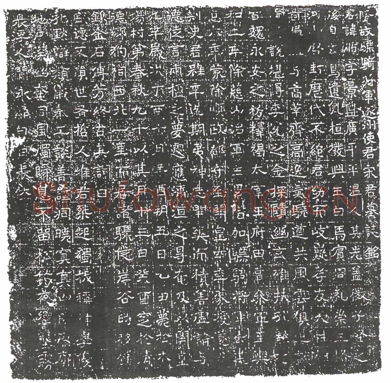 隋宋循墓誌(隋故骠骑将军遂州使君宋君墓誌铭)