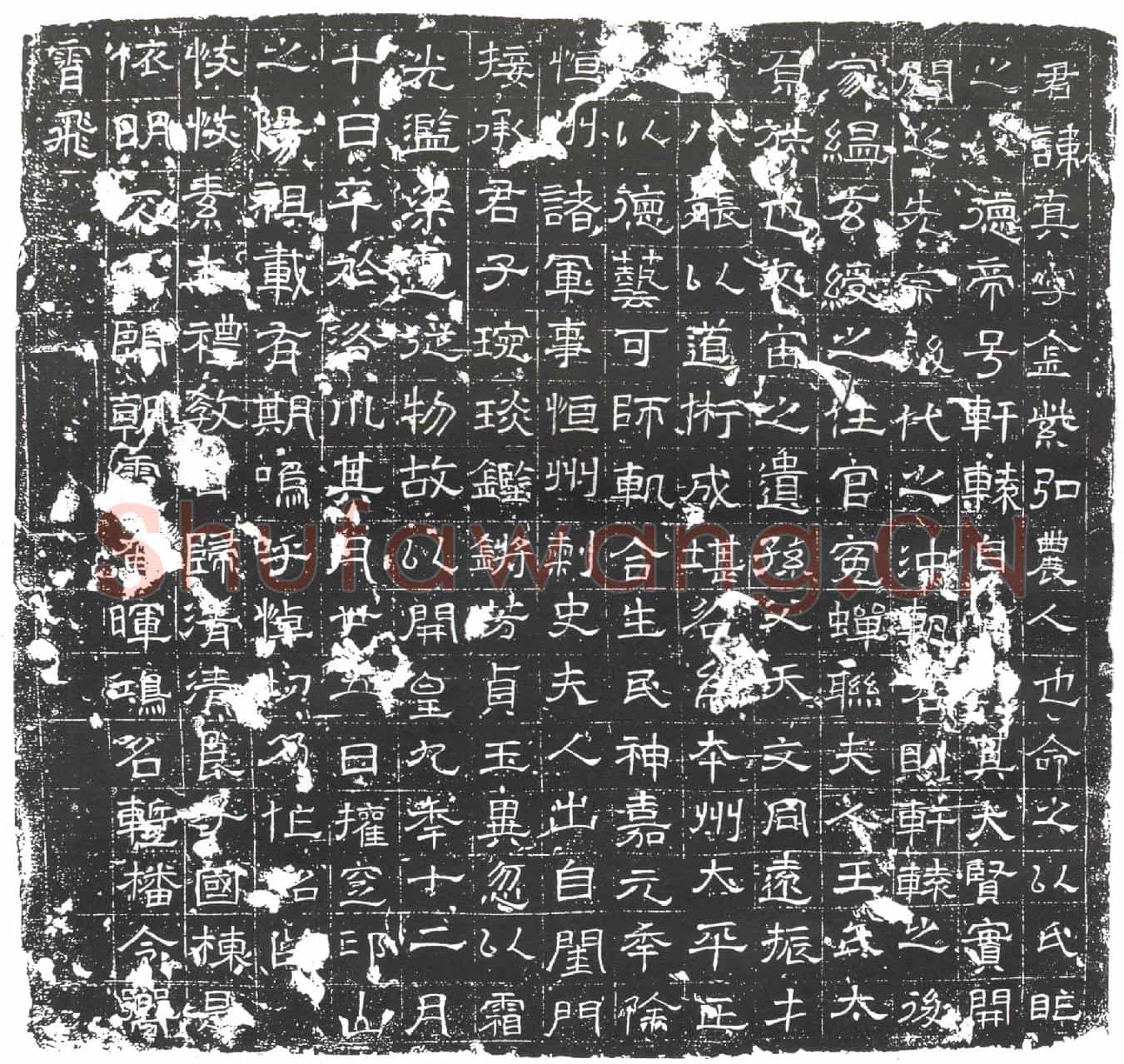 隋杨真；杨真妻王氏墓誌