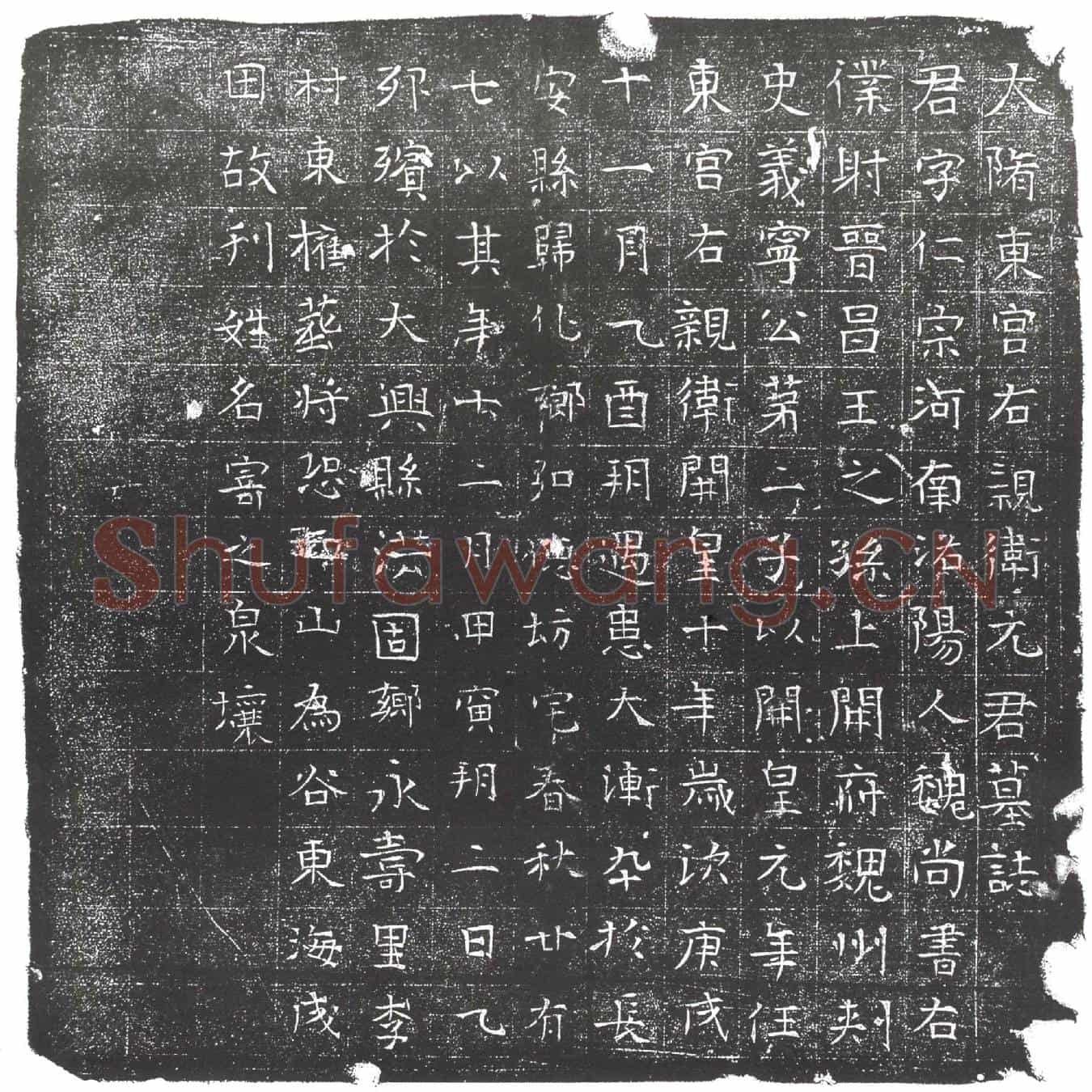 隋元仁宗墓誌(大隋东宫右亲术元君墓誌)