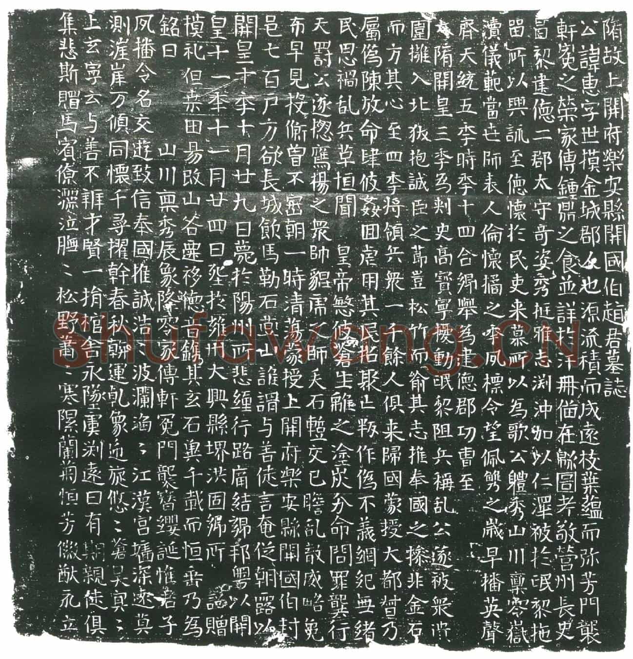 隋赵世摸墓誌(隋故上开府乐安县开国伯赵君墓誌)