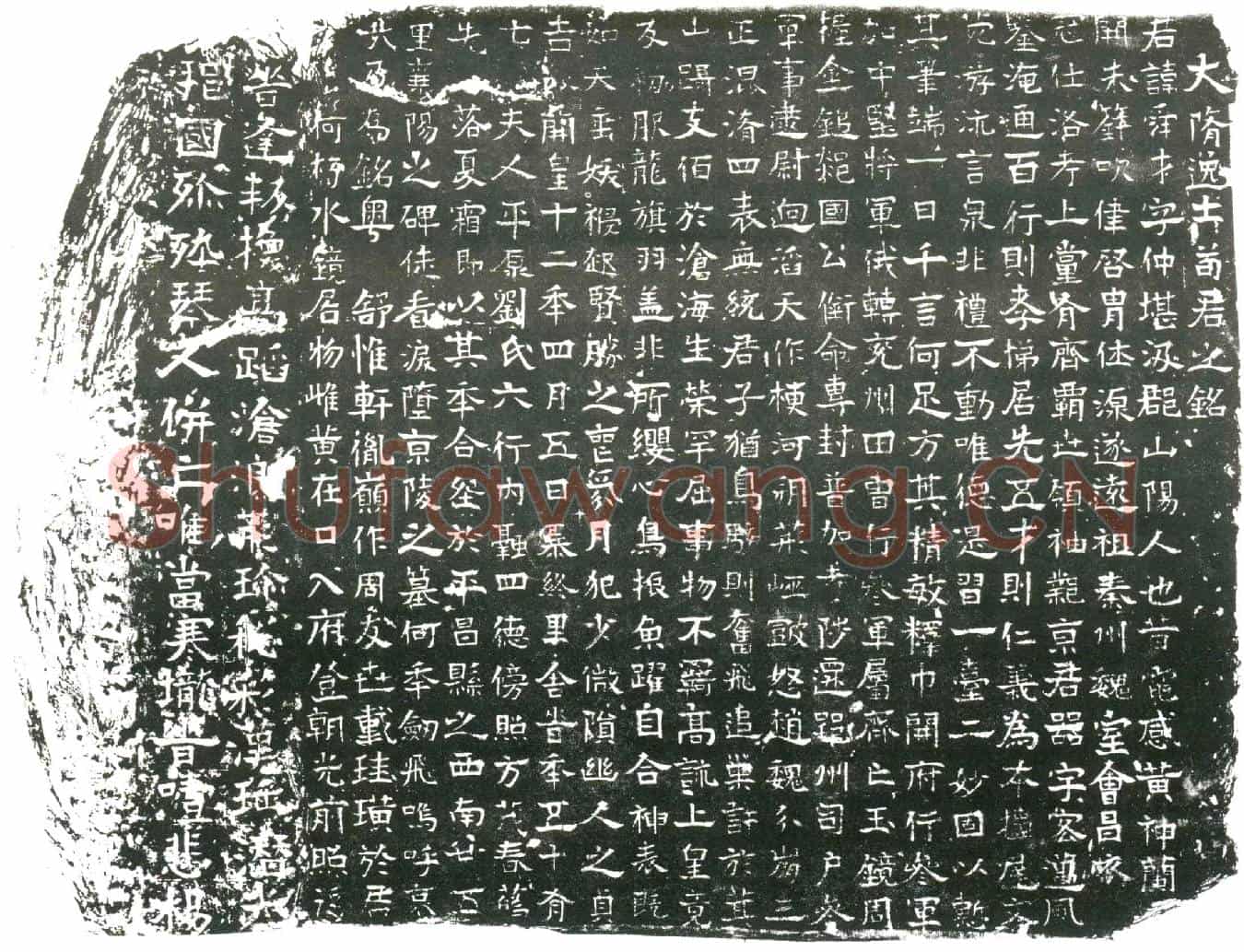 隋苟舜才；苟舜才妻刘氏墓誌(大隋逸士苟君之铭)