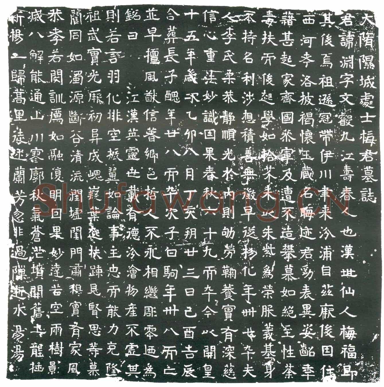 隋梅渊；梅渊妻李氏墓誌(大隋隰城处士梅君墓誌)