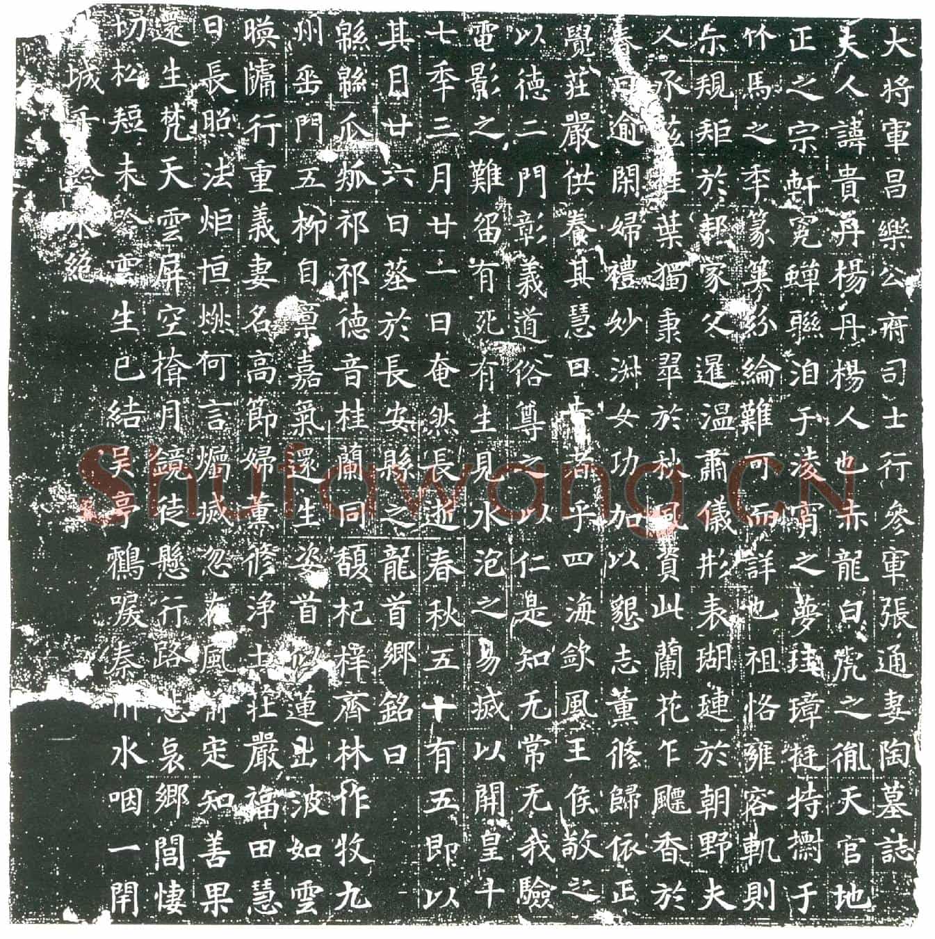 隋陶贵墓誌(大将军昌乐公府司士行参军张通妻陶墓誌)