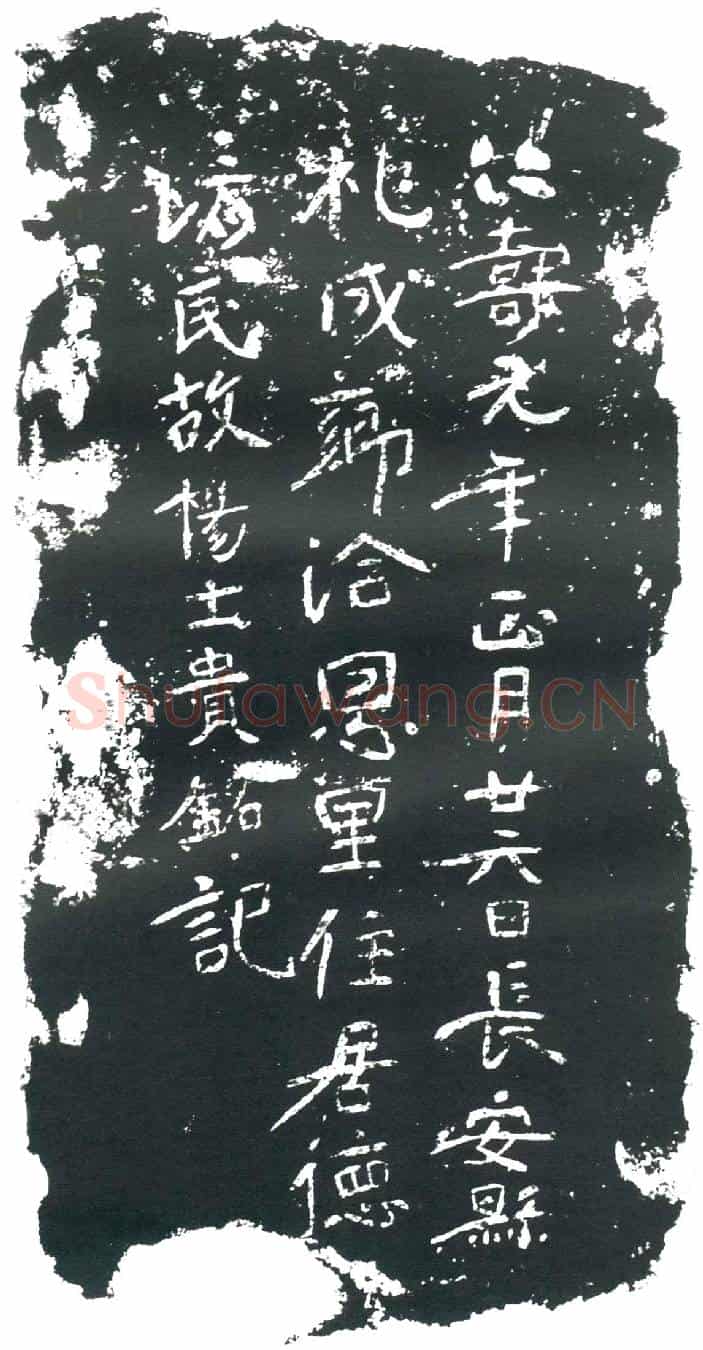 隋杨士贵墓誌