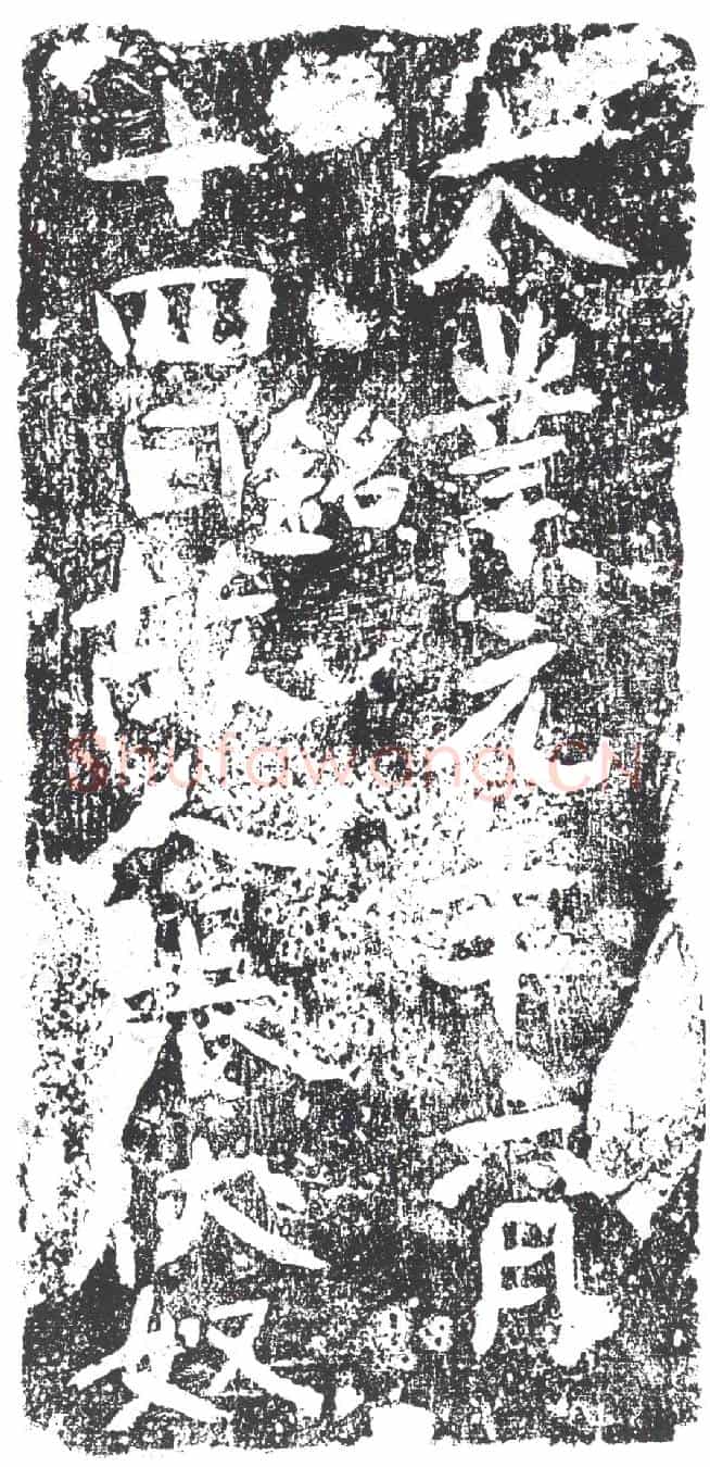 隋张伏奴墓誌
