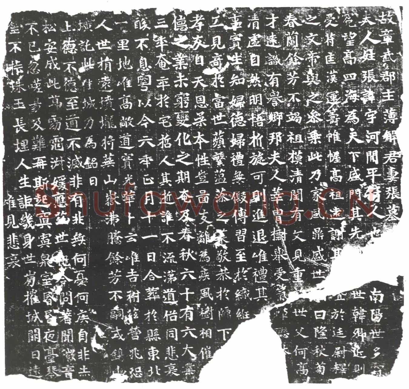 隋张字墓誌(故章武郡主簿解君妻张墓誌)