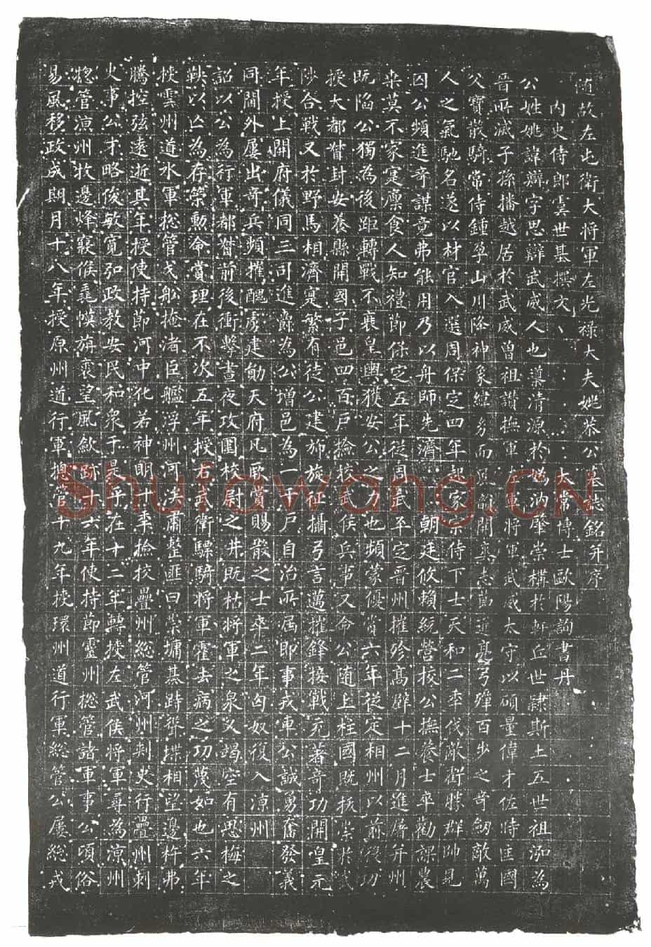 隋姚辩墓誌(随故左屯卫大将军左光禄大夫姚恭公墓誌铭)