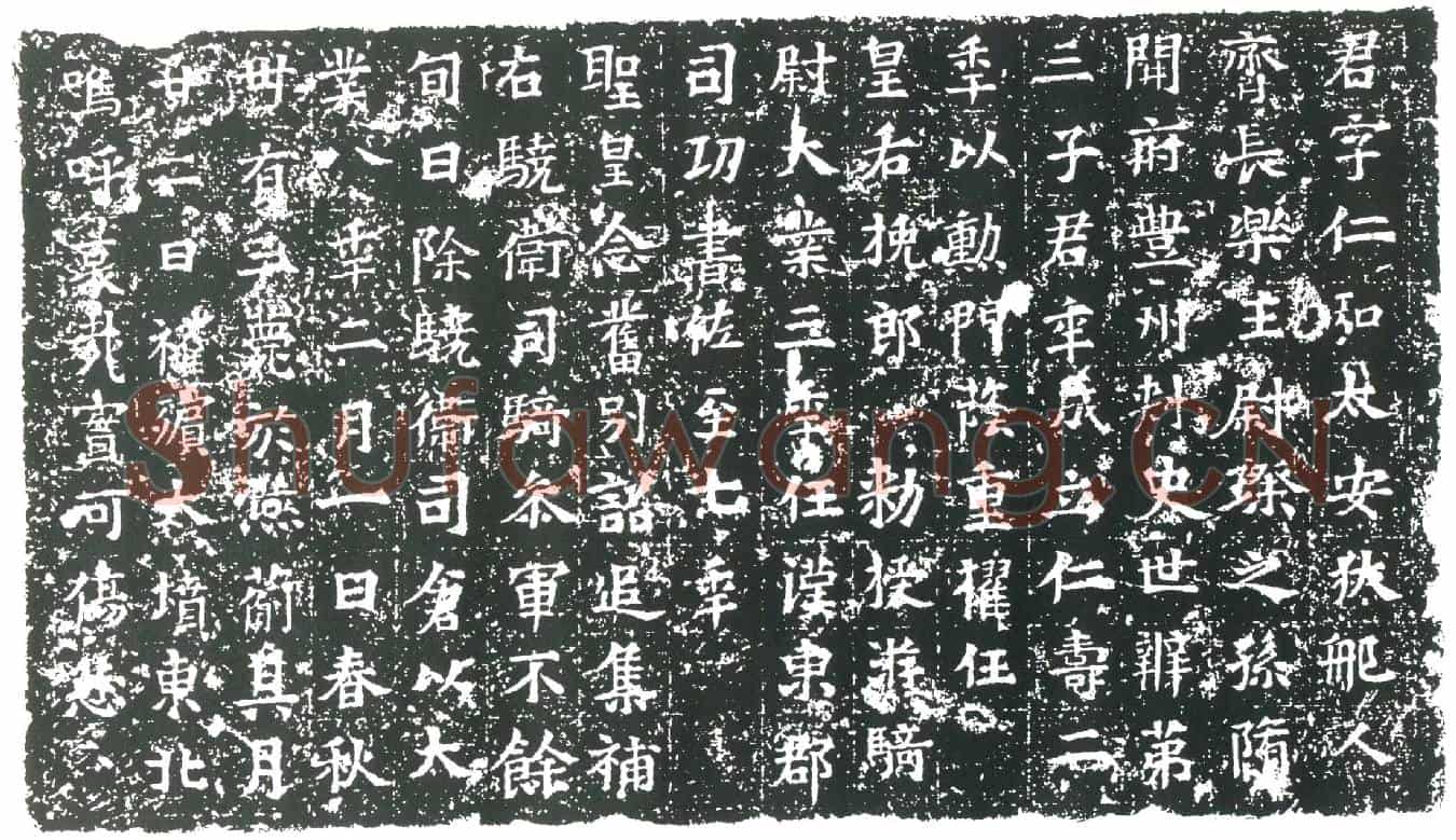 隋尉仁弘墓誌