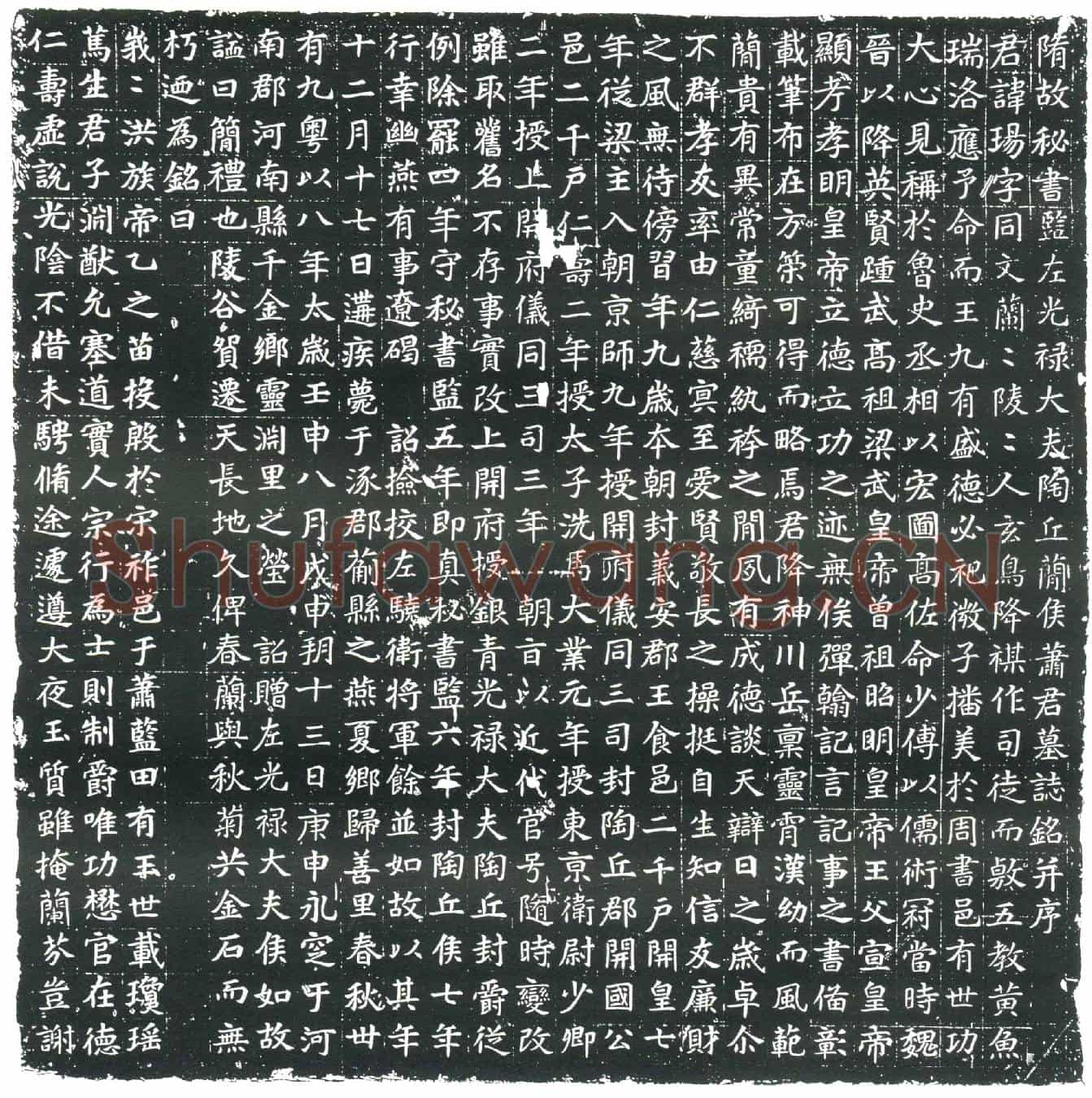 隋萧玚墓誌(隋故秘书监左光禄大夫陶丘简侯萧君墓誌铭)