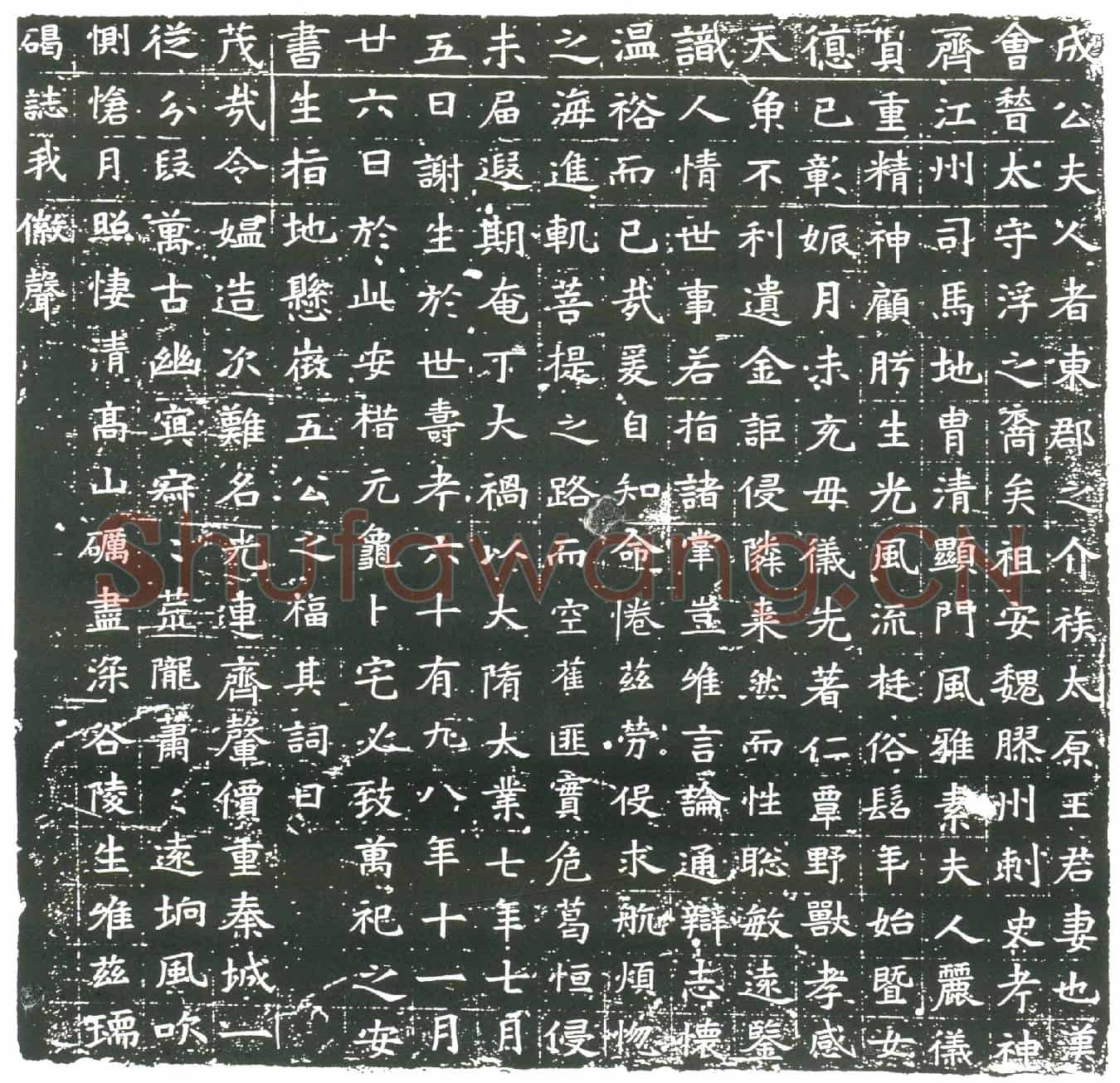 隋王君妻成公氏墓誌