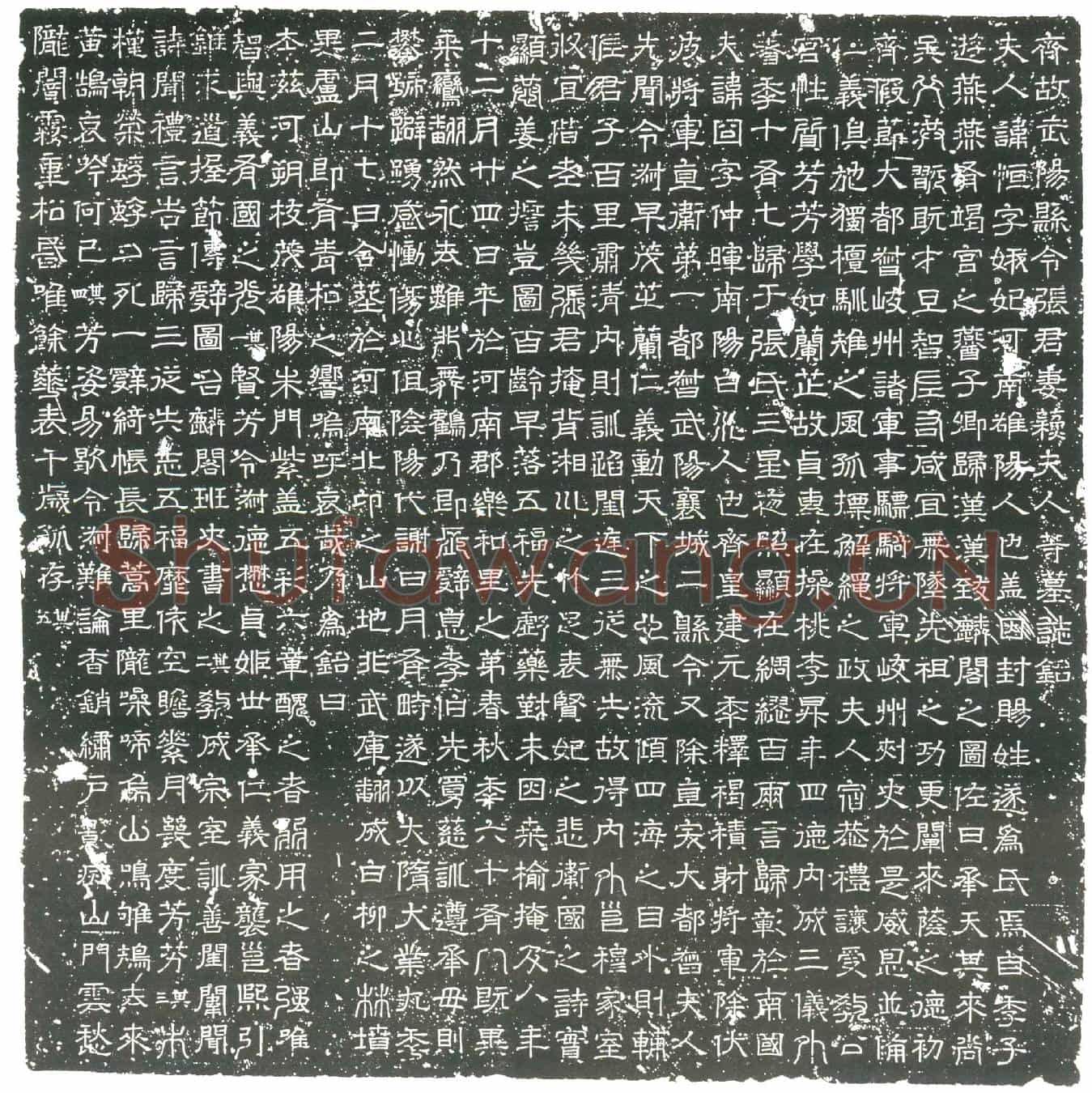 隋苏恆墓誌(齐故武阳县令张君妻苏夫人等墓誌铭)