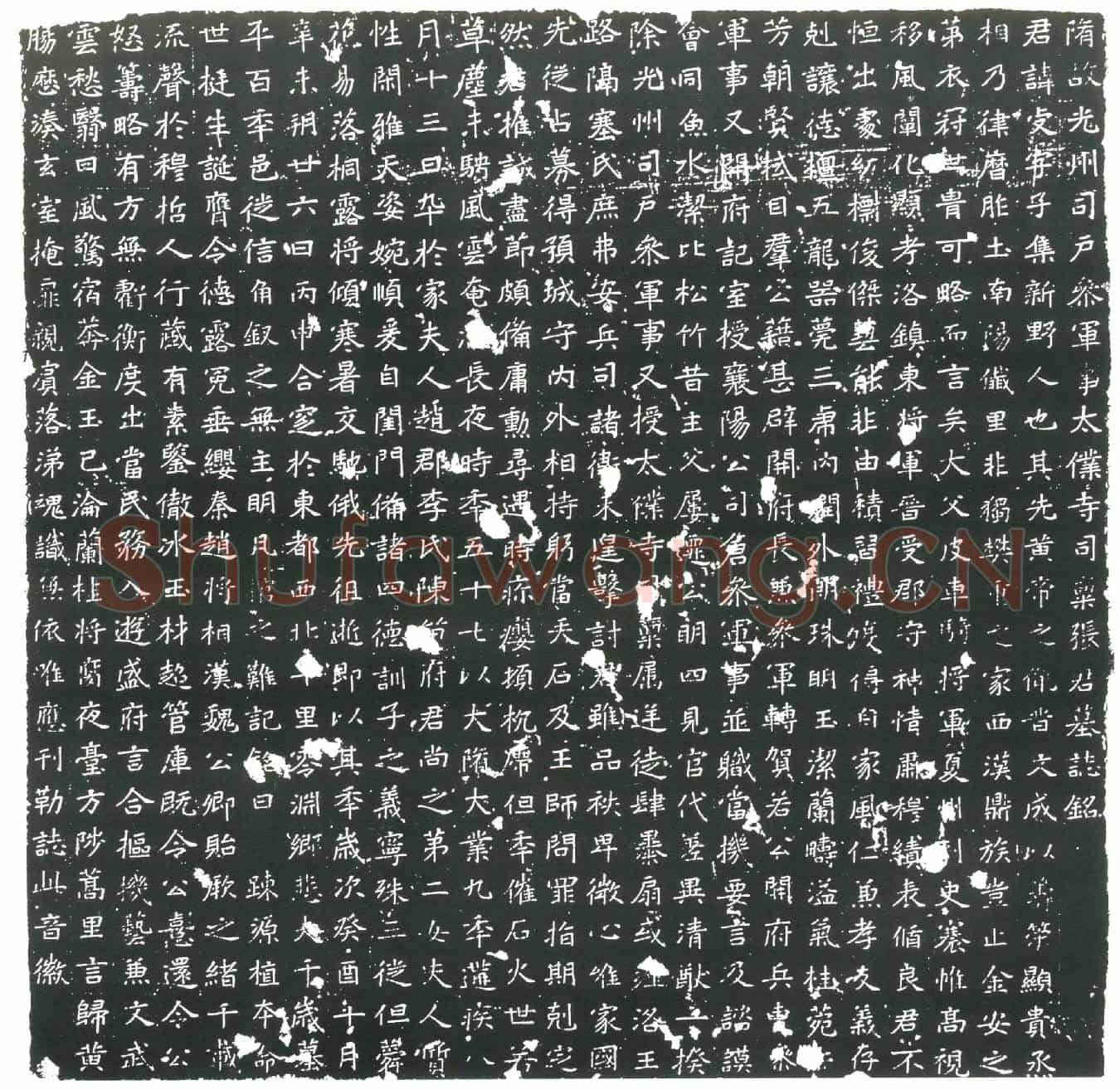 隋张受；张受妻李氏墓誌(隋故光州司户参军事太僕寺司稟张君墓誌铭)