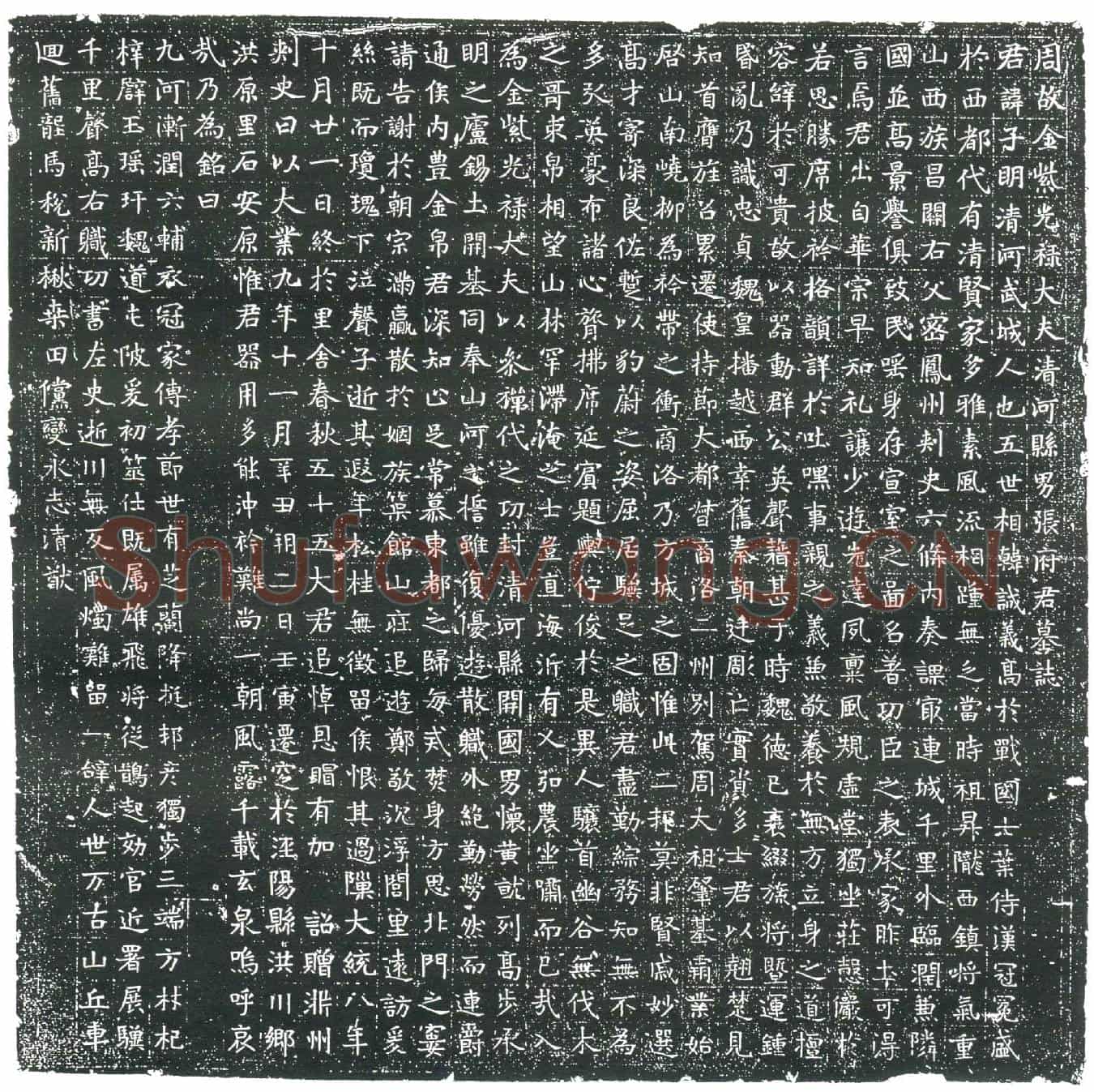 隋张子明墓誌(周故金紫光禄大夫清河县男张府君墓誌)
