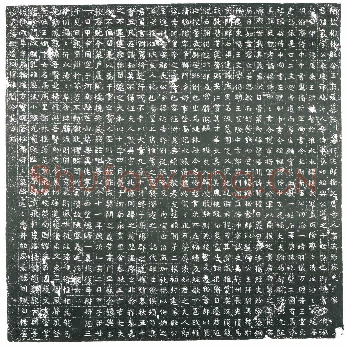 隋王衮；王衮妻萧氏墓誌(隋故桃林县令王府君墓誌)