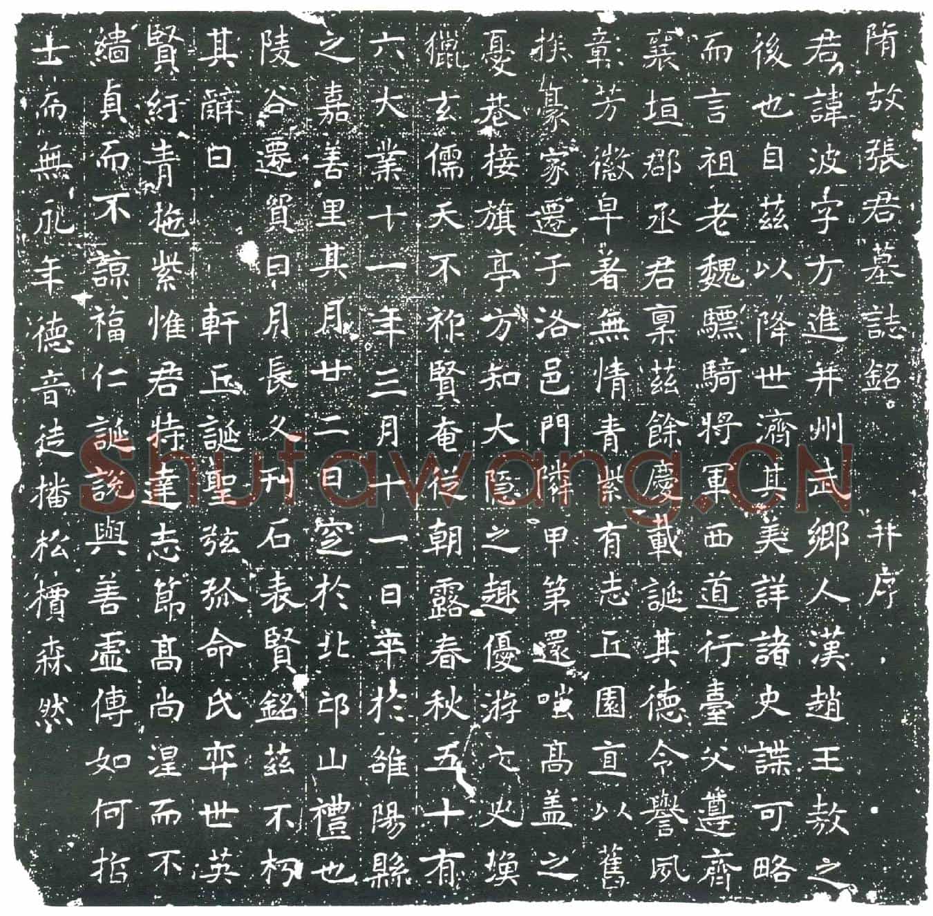 隋张波墓誌(隋故张君墓誌铭)