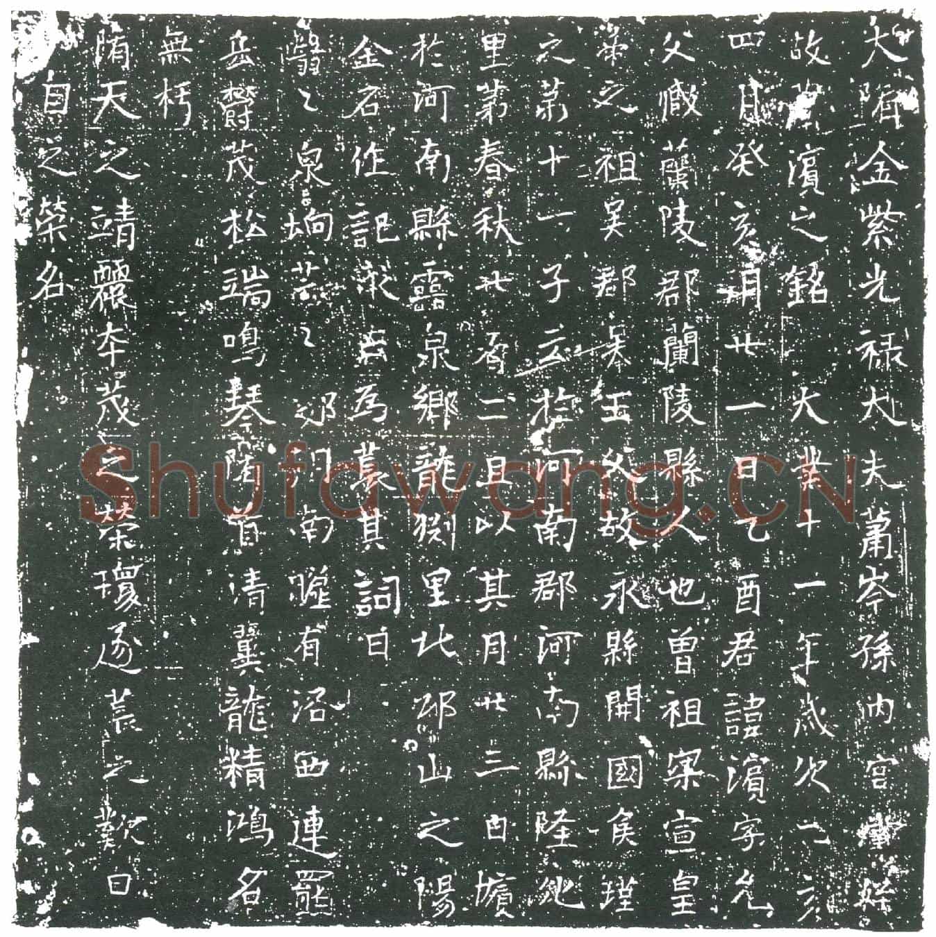 隋萧滨墓誌(大隋金紫光禄大夫萧岑孙内宫堂姪故萧滨之铭)