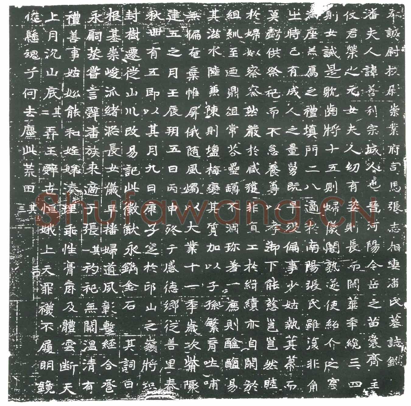隋潘善利墓誌(奉诚尉校尉崇业府司马张志相妻潘氏墓誌铭)