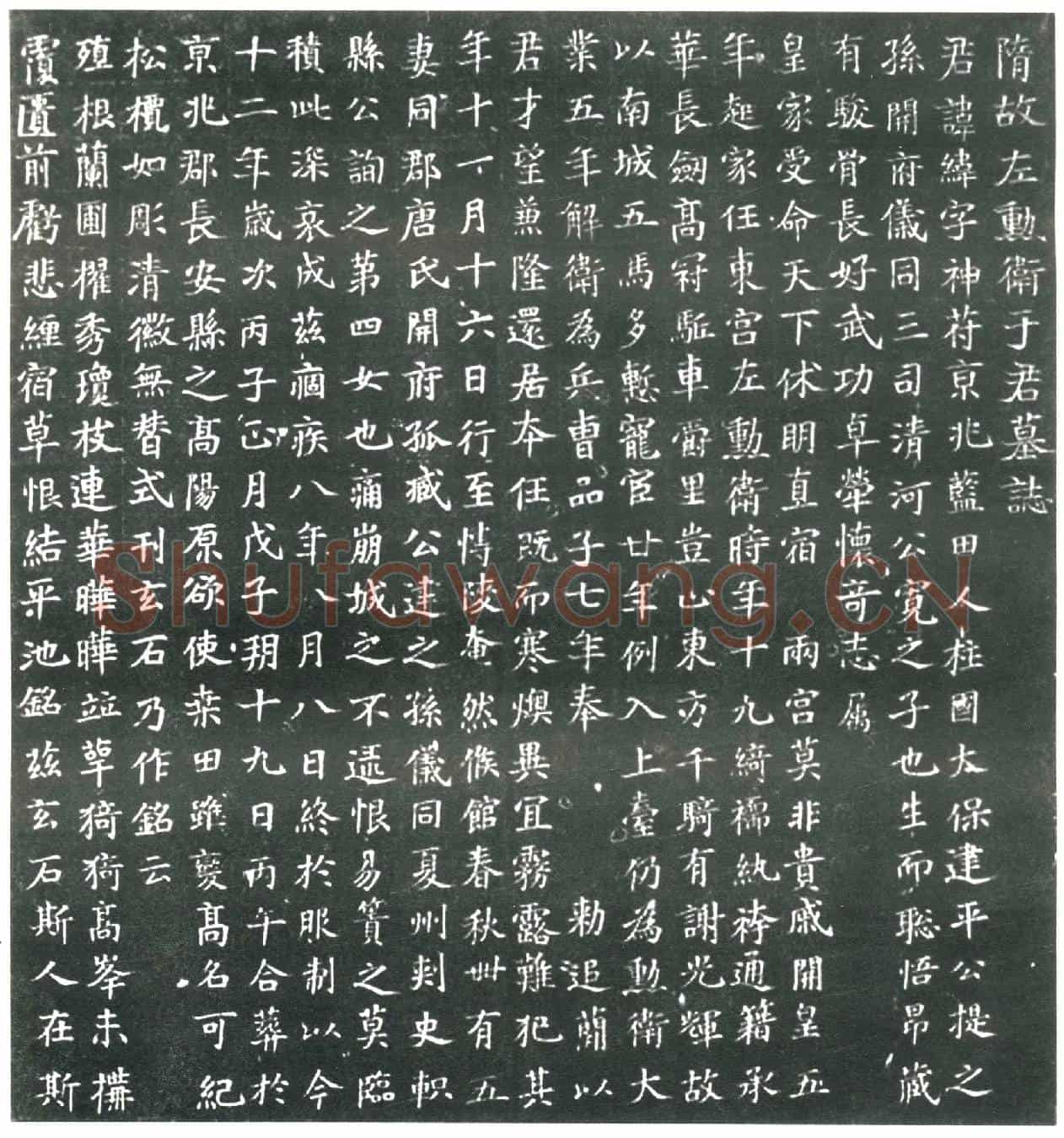 隋于纬；于纬妻唐氏墓誌(隋故左勋卫于君墓誌)