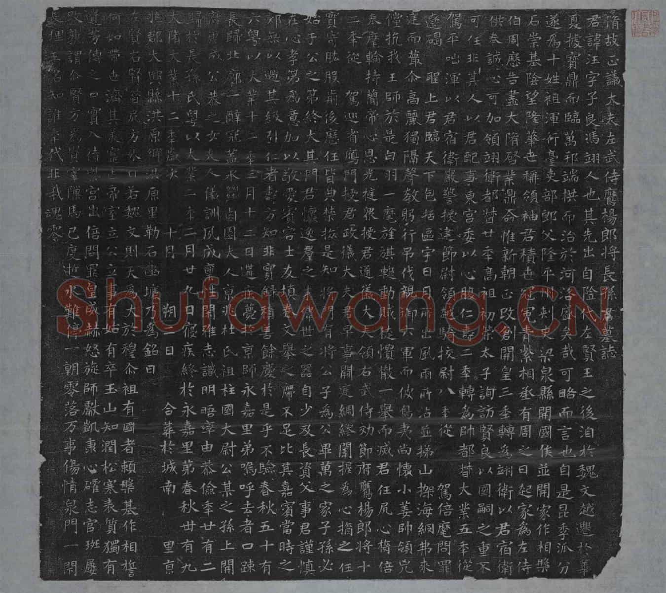 隋长孙汪；长孙汪妻杜氏墓誌(隋故正议大夫左武侍鹰扬郎将长孙君墓誌)