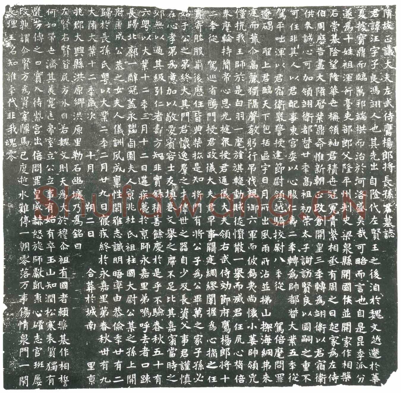隋长孙汪；长孙汪妻杜氏墓誌(隋故正议大夫左武侍鹰扬郎将长孙君墓誌)