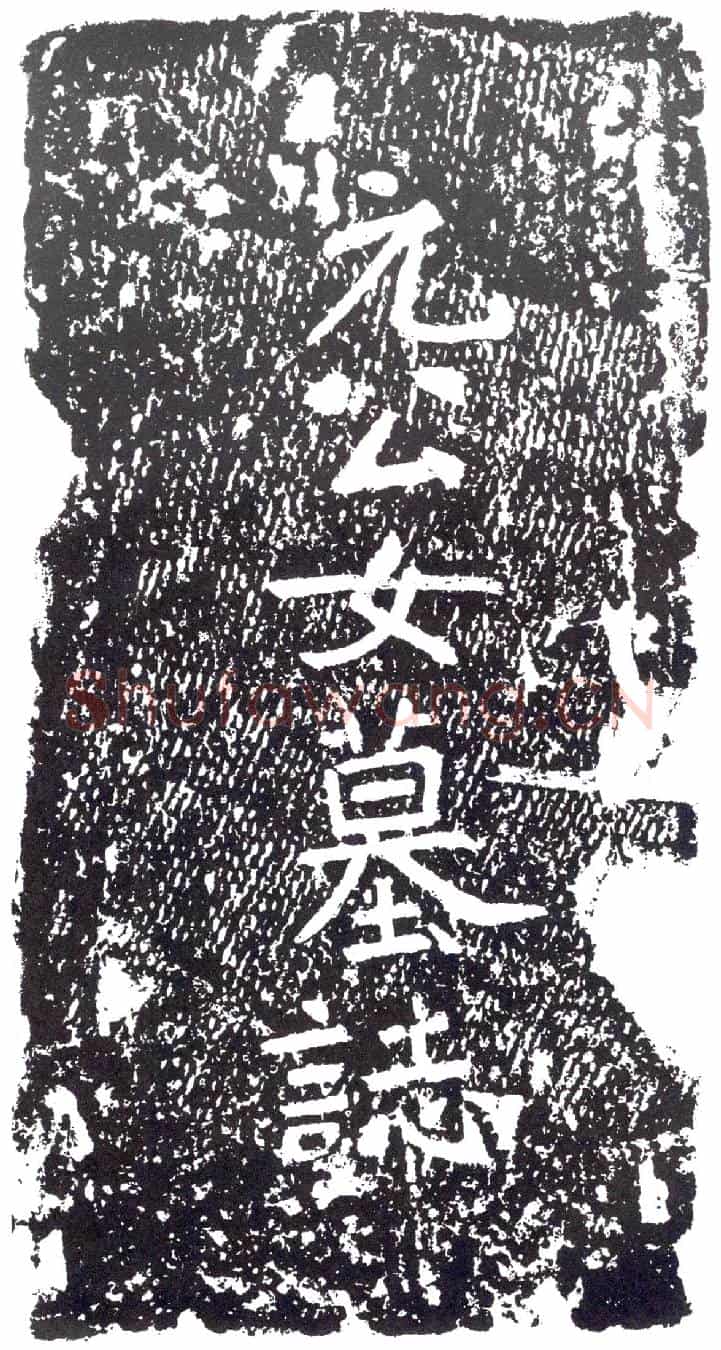 隋王法爱墓誌(大隋金紫光禄大夫潭州总管江都郡通守张府君第四息琰妻王氏墓誌铭)