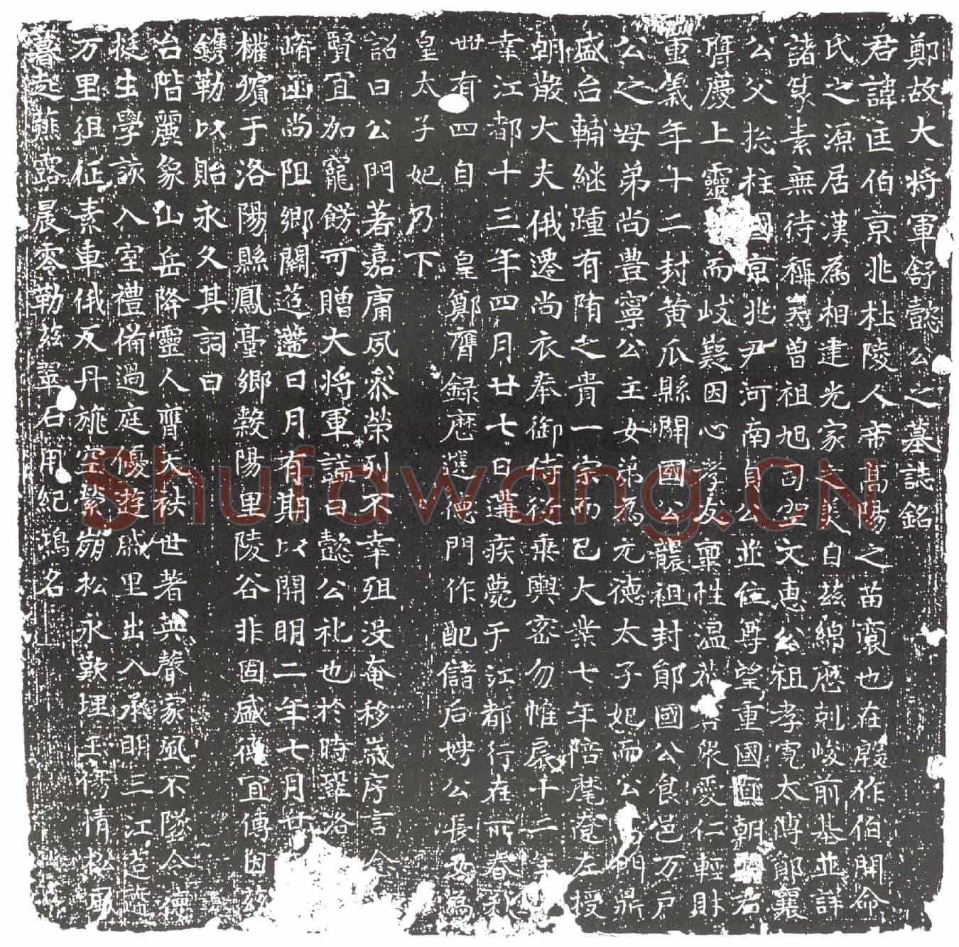 隋韦匡伯墓誌(郑故大将军舒懿公之墓誌铭)
