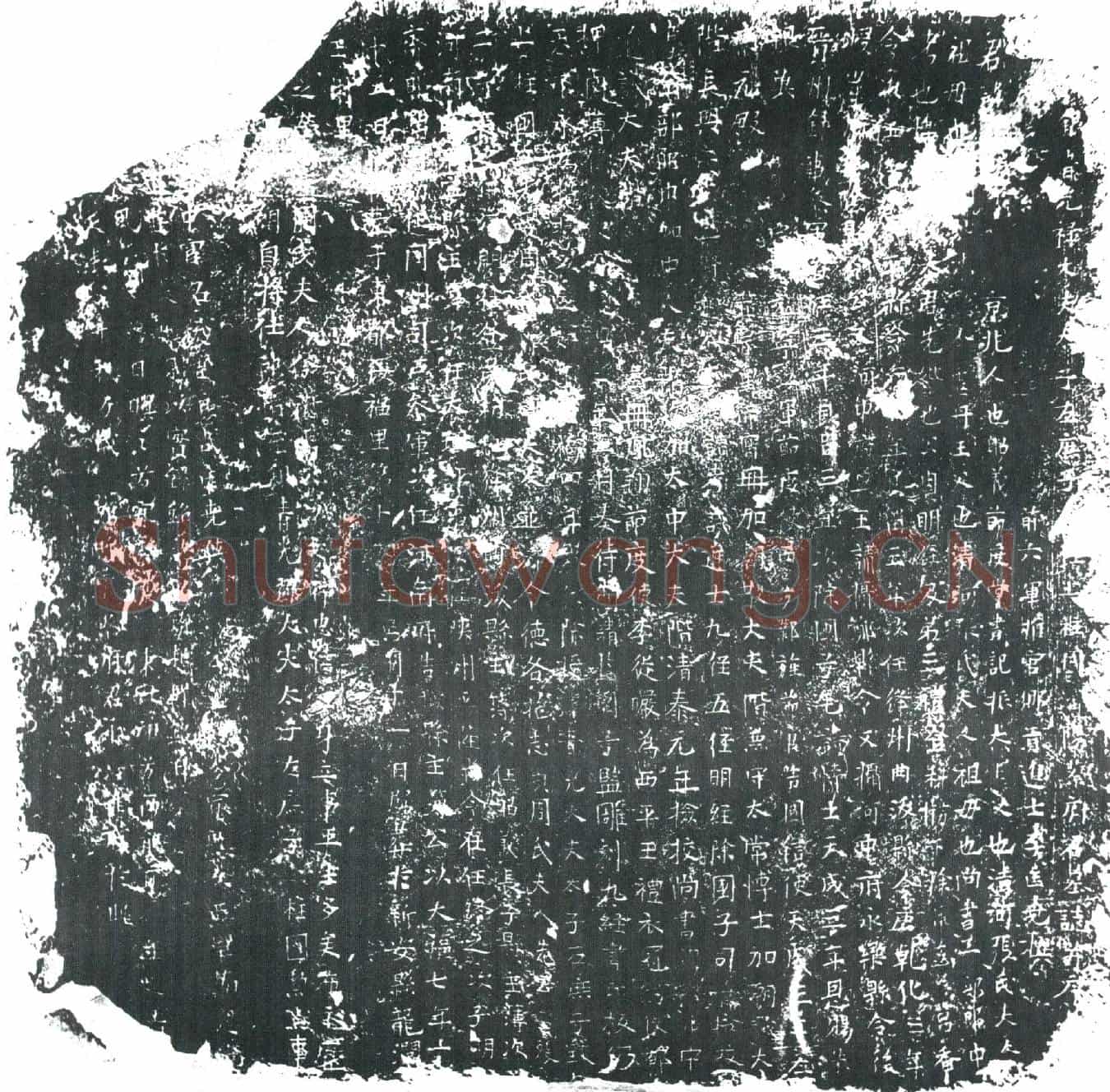 五代十国蔡君墓誌(晋故银青光禄大夫大子左庶子致仕上柱国济阳蔡府君墓誌并序)