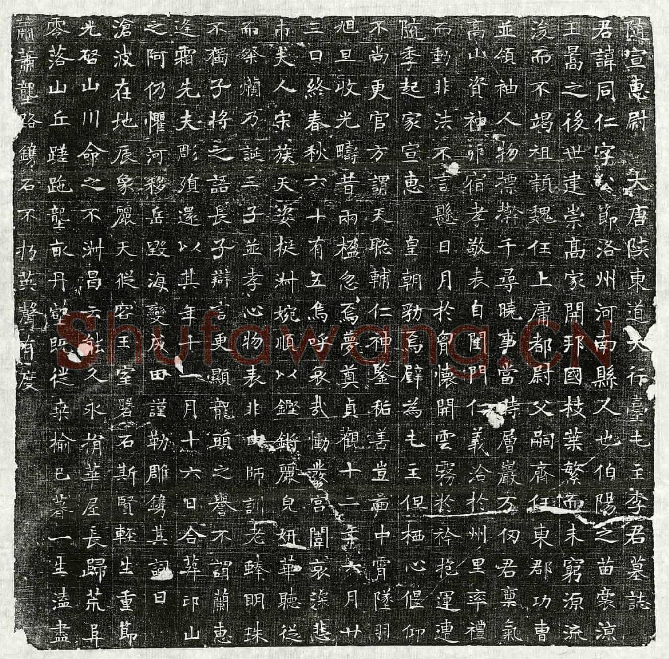 唐李同仁墓誌(随宣惠尉大唐陕东道大行台屯主李君墓誌)