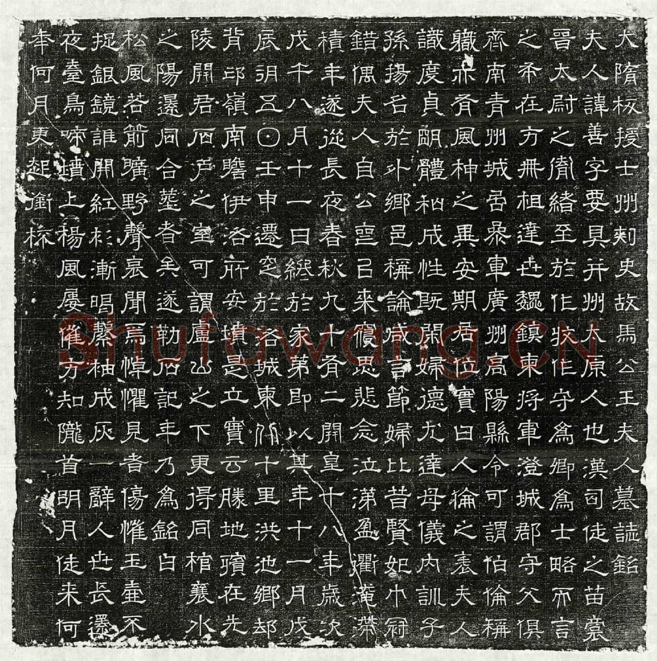 隋马君妻王善墓誌(大隋板授士州刺史故马公王夫人墓誌铭)