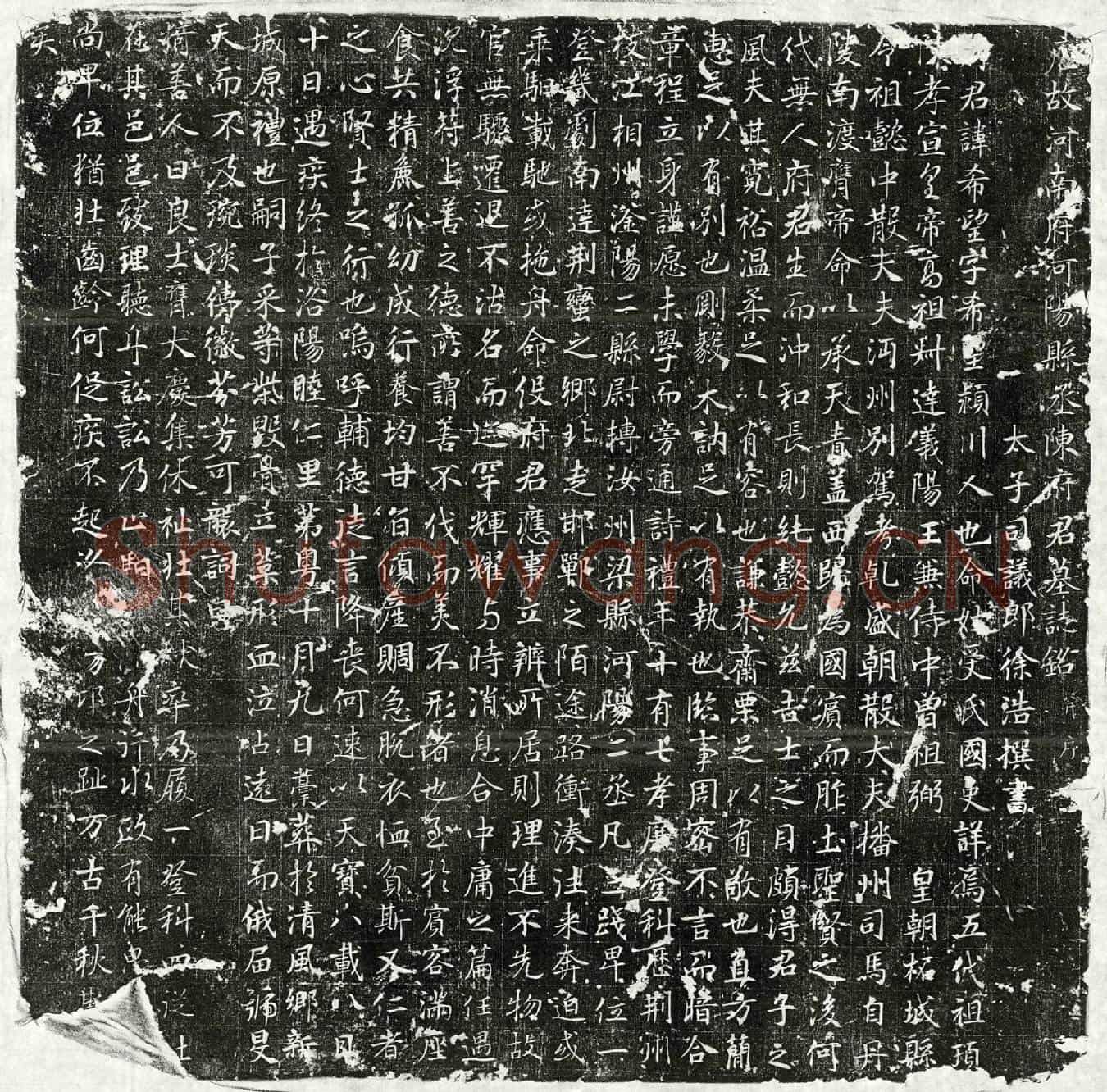 唐陈希望墓誌(唐故河南府河阳县丞陈府君墓誌铭并序)