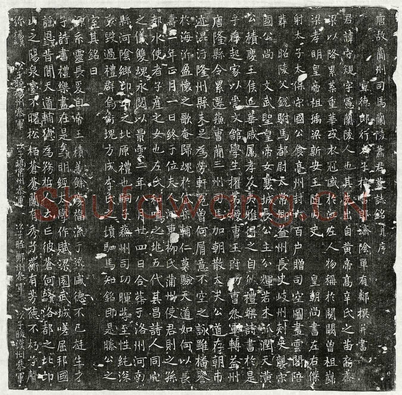唐萧守规墓誌(唐故简州司马兰陵萧君墓誌铭并序)