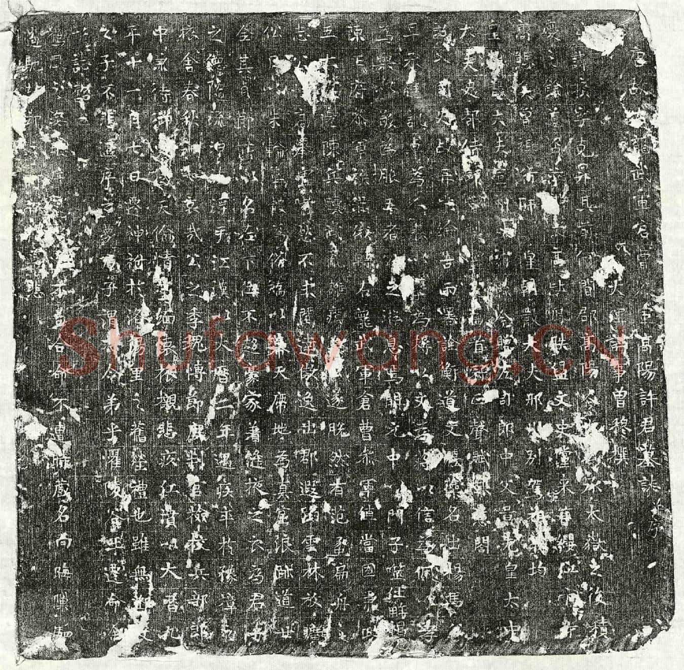 唐许损墓誌(唐故右龙武军仓曹参军高阳许君墓誌并序)